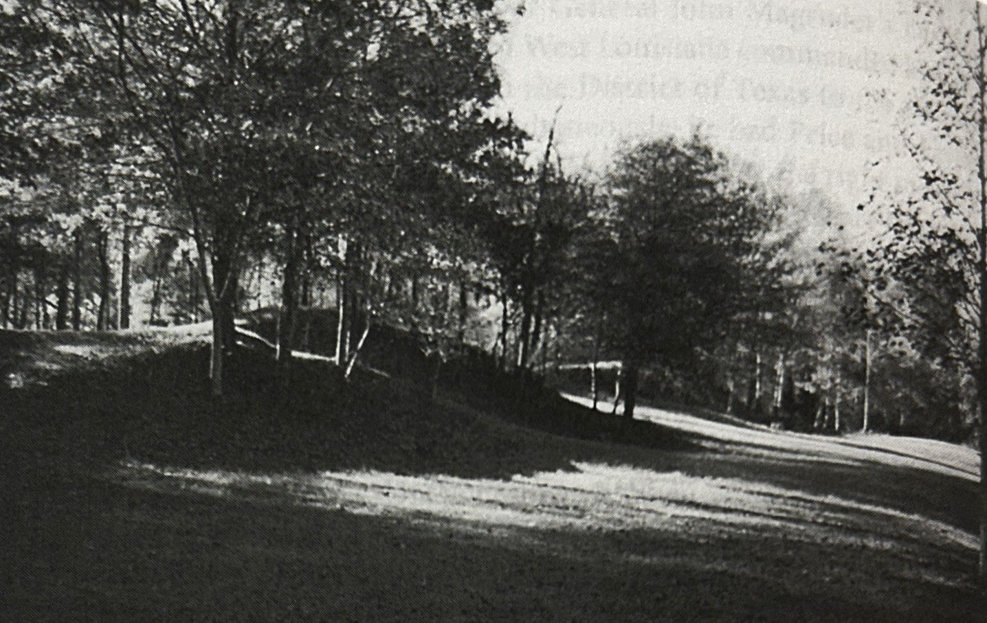 The Red River Campaign of 1864 & the Loss by the Confederacy of the Civil War by Michael Forsyth 2002 SIGNED