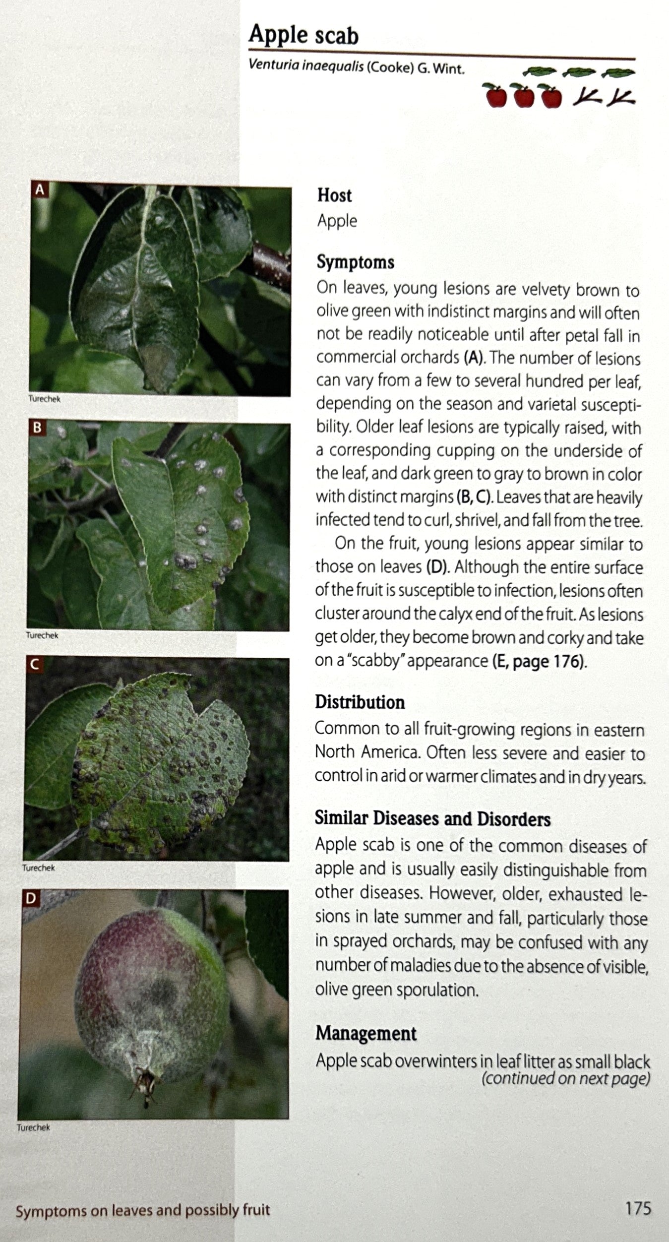 Tree Fruit Field Guide 2006