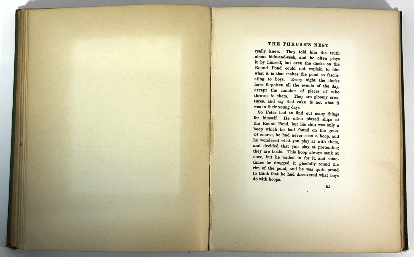 Peter Pan in Kensington Gardens by JM Barrie Illustrated by Arthur Rackham 1912