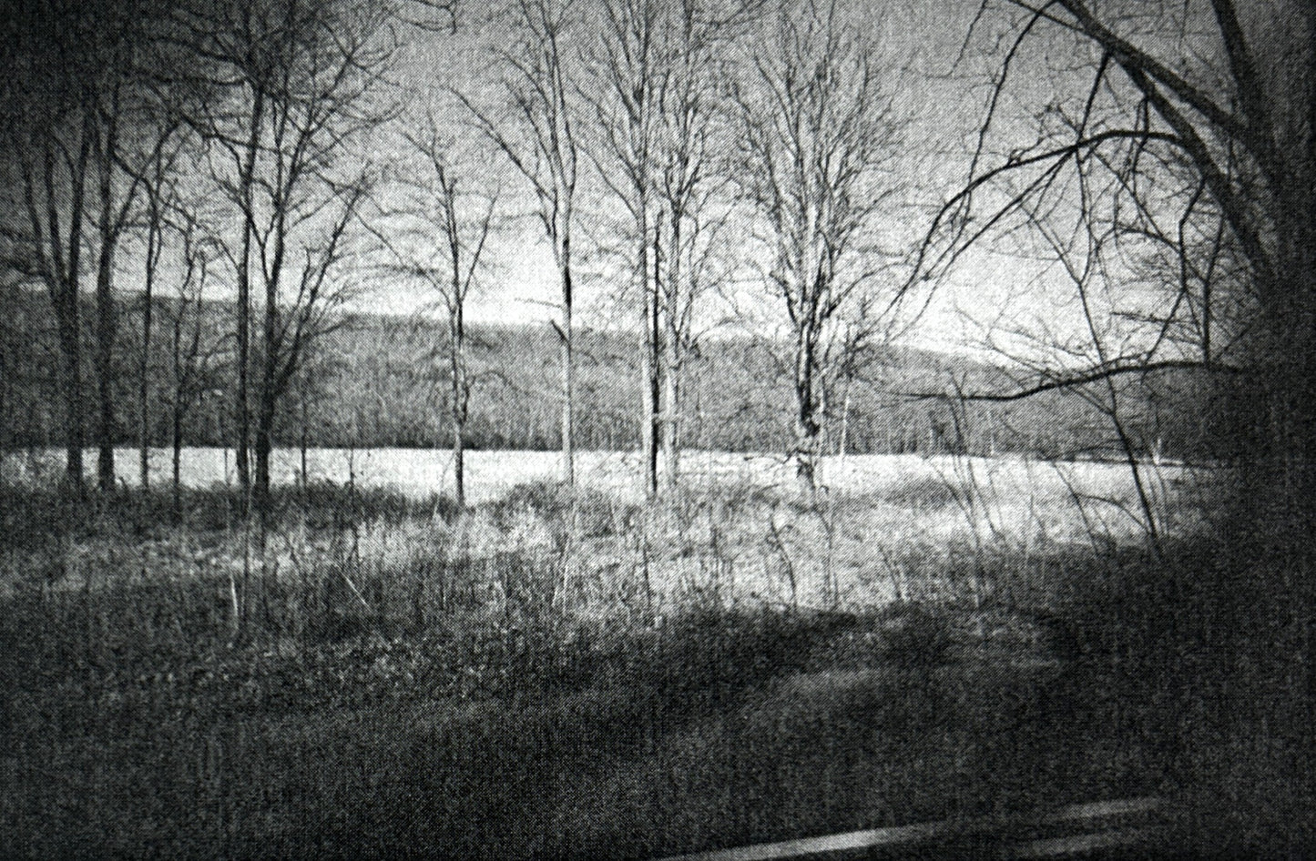 Lasting Legacies of the Lower Minisick by Nancy Michael Shukaitis 2007