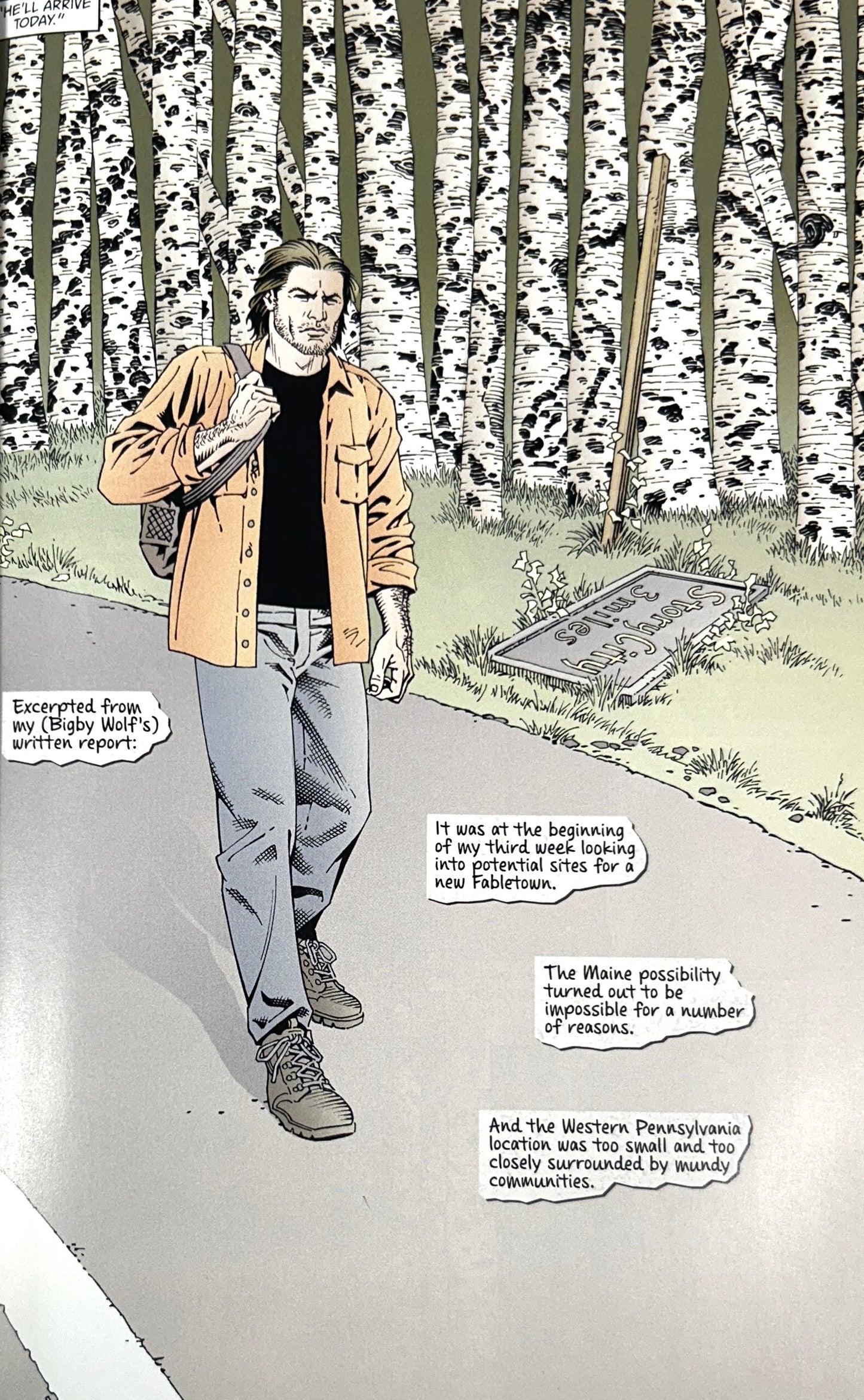 Set of 10 Fables by Bill Willingham 2006-2012