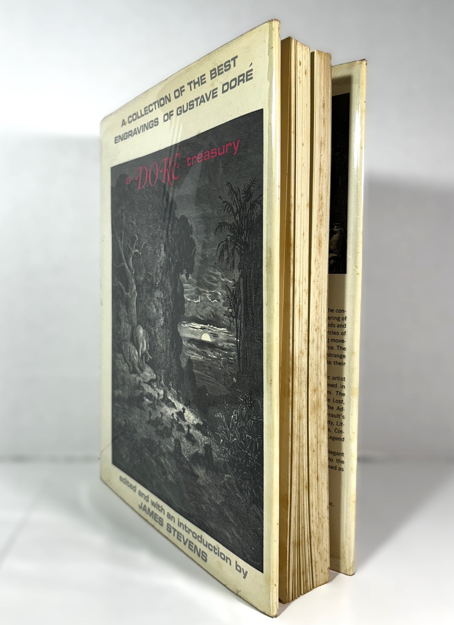 A Dore Treasury: A Collection of the Best Engravings of Gustave Dore edited by James Stevens 1970