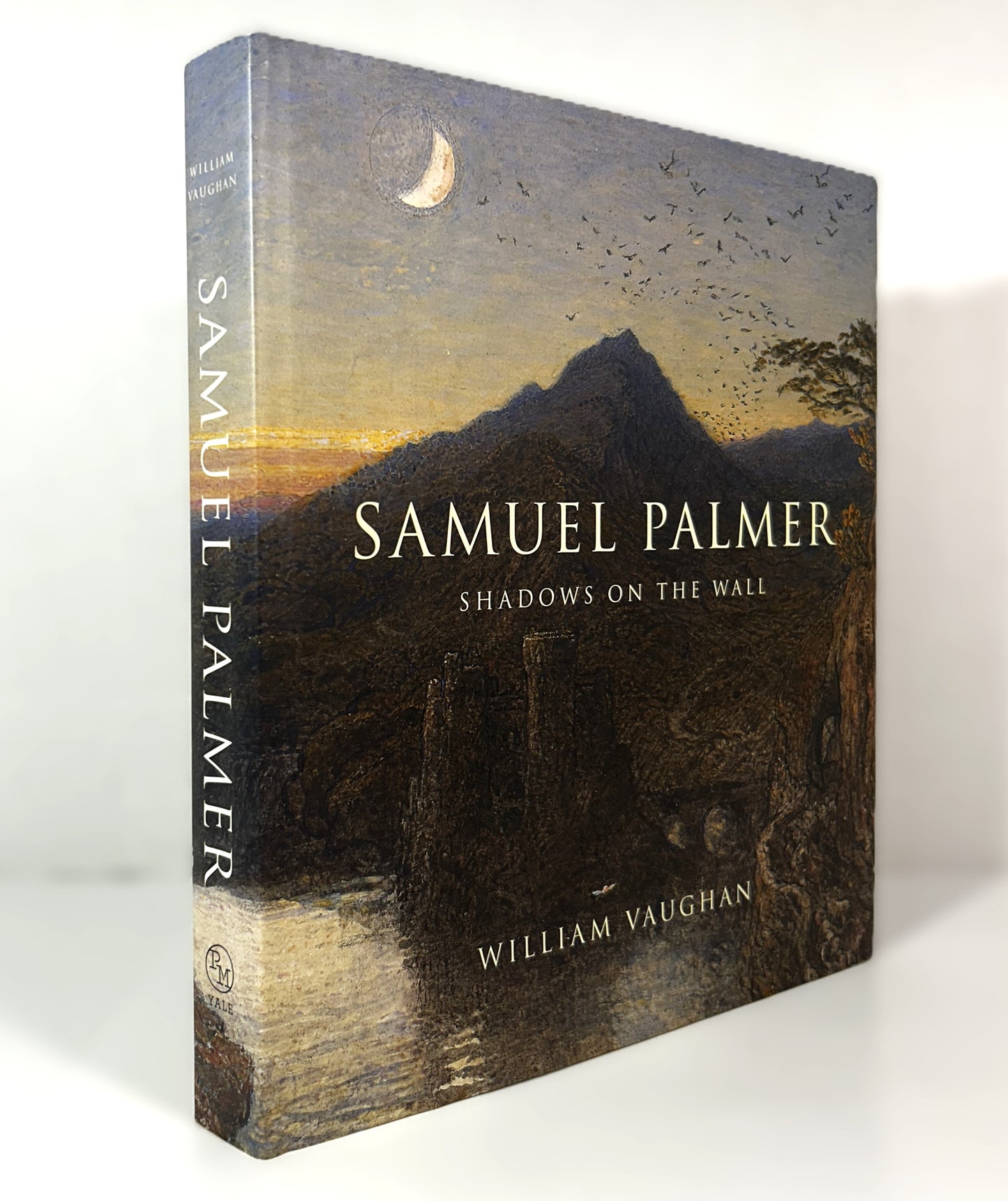 Samuel Palmer: Shadows on the Wall by William Vaughan 2015