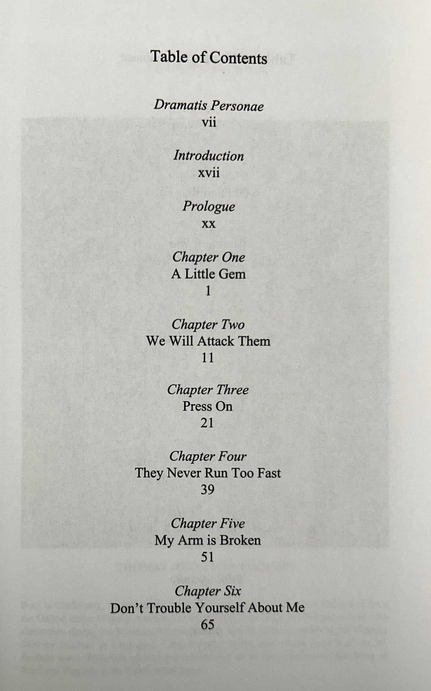 Calamity at Chancelorsville by Matthew W. Lively 2013