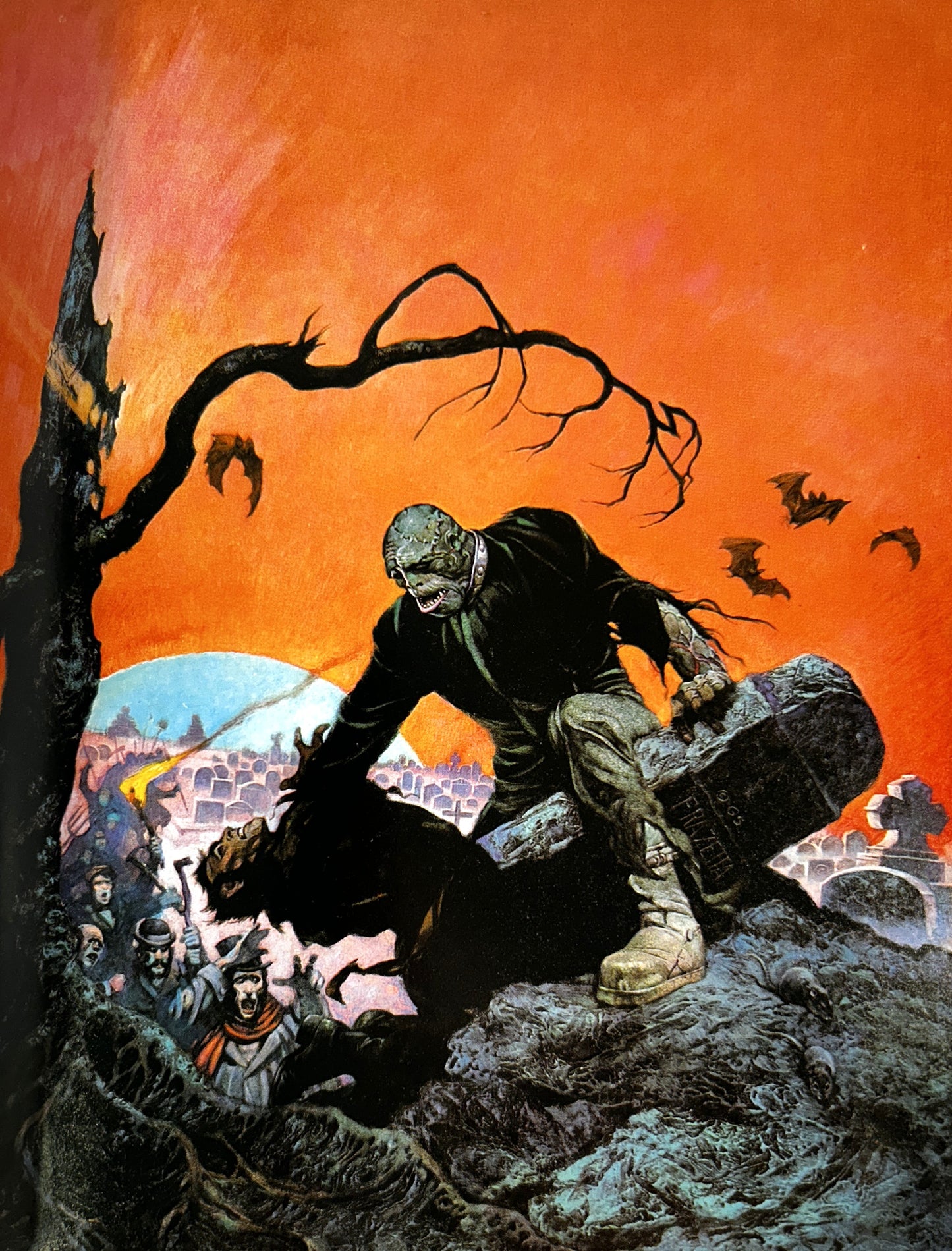 Set of 5 Frank Frazetta edited by Betty Ballantine 1975-1985