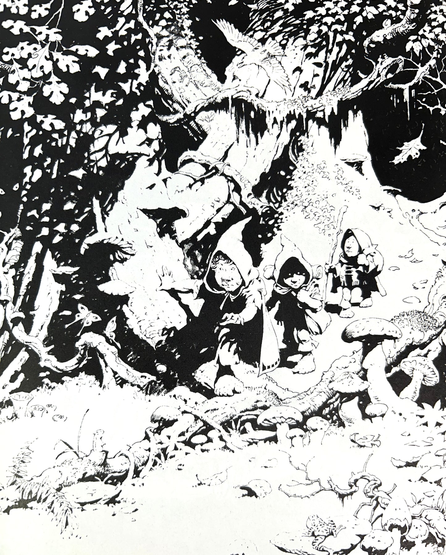 The Rare Frazetta introduction by Dan Pipp 1975