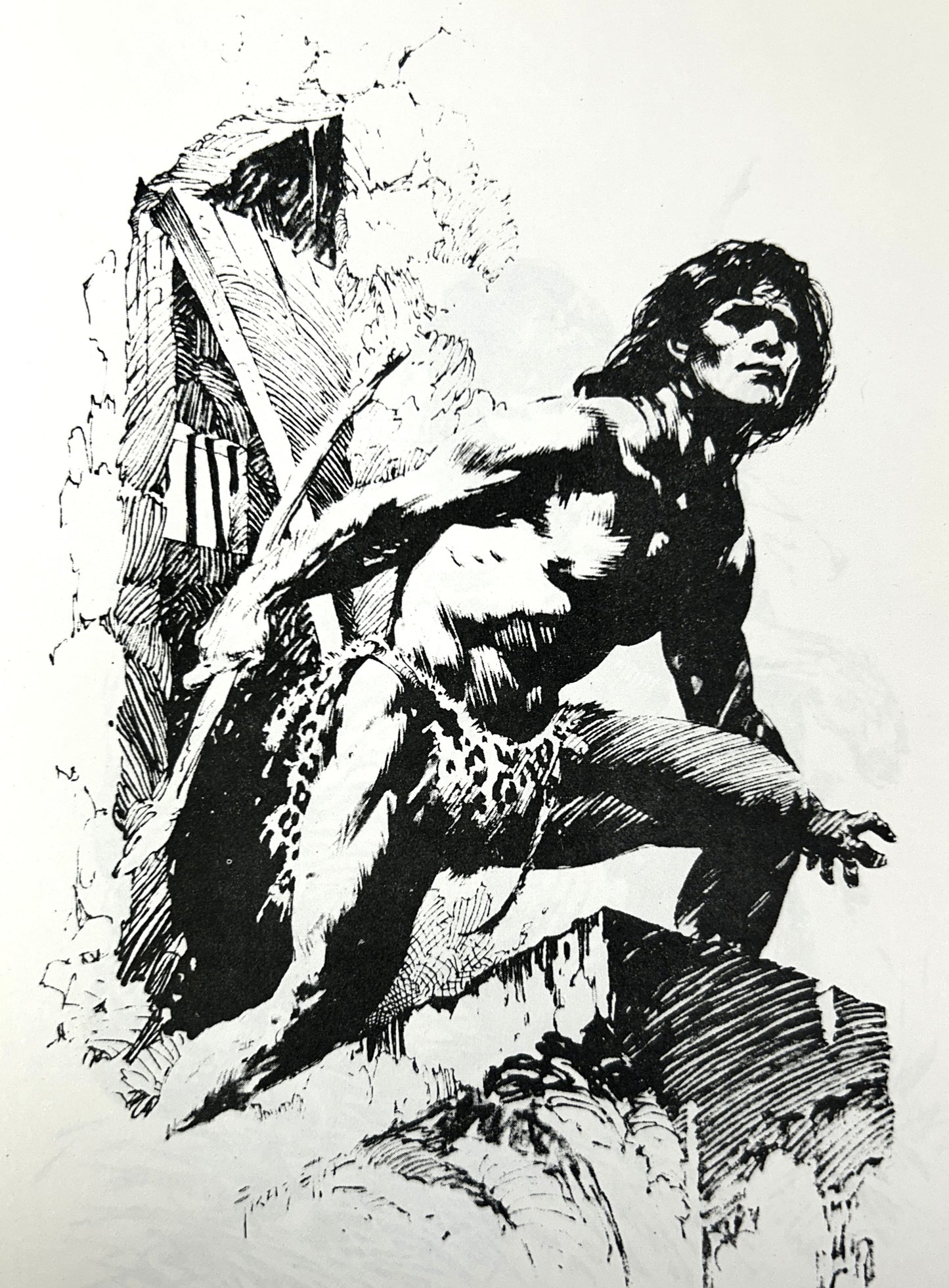 The Magic of Frank Frazetta & More Magic of Frank Frazetta