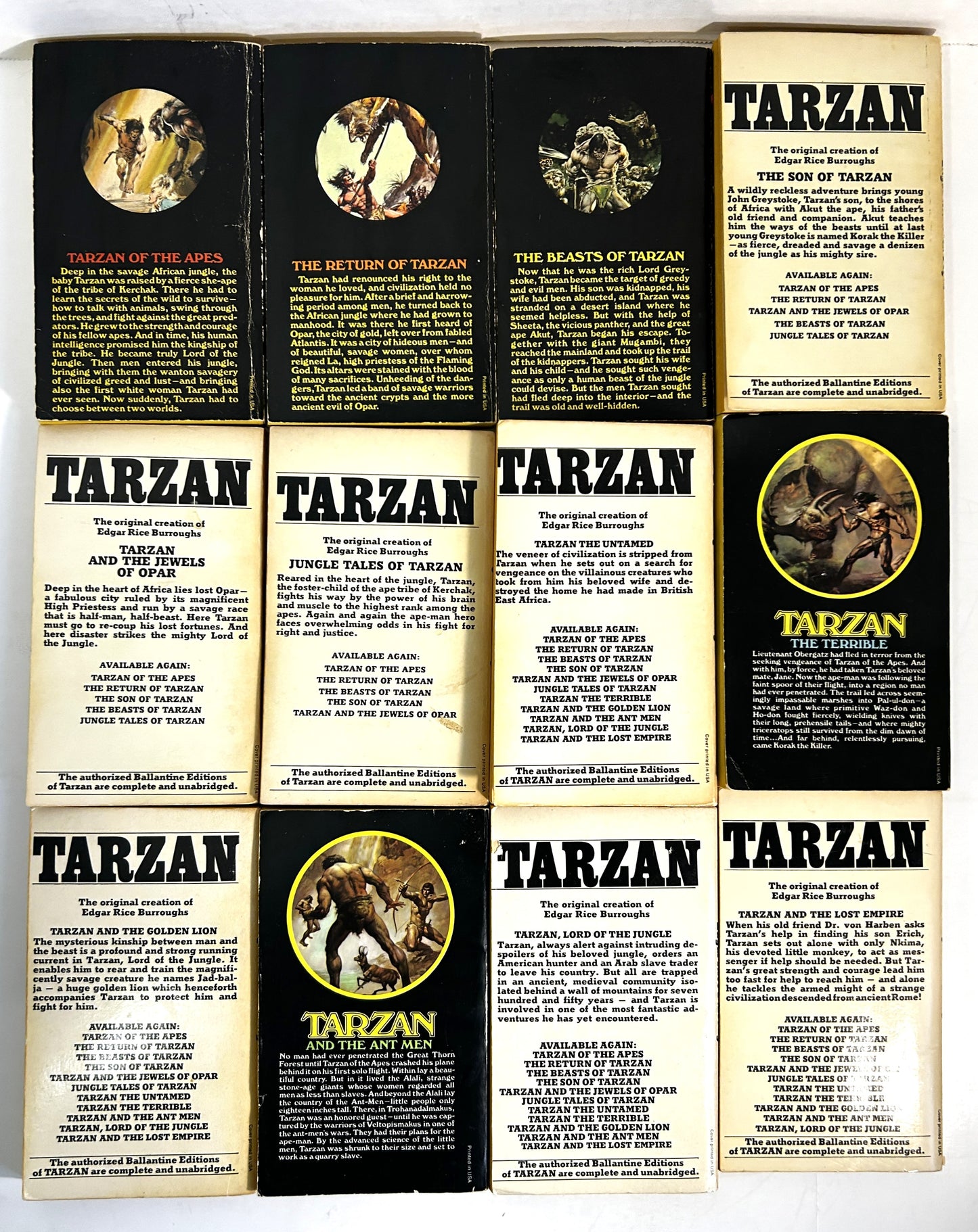 Complete Set of 24 Tarzan by Edgar Rice Burroughs c 1970s Boris Vallejo Covers