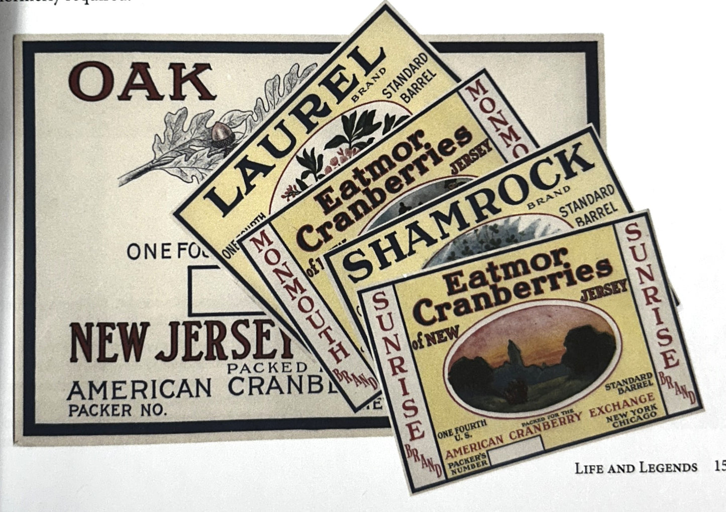 Pine Barrens: Life & Legends by Noyes Museum of Art & the South Jersey Culture & History Center 2015