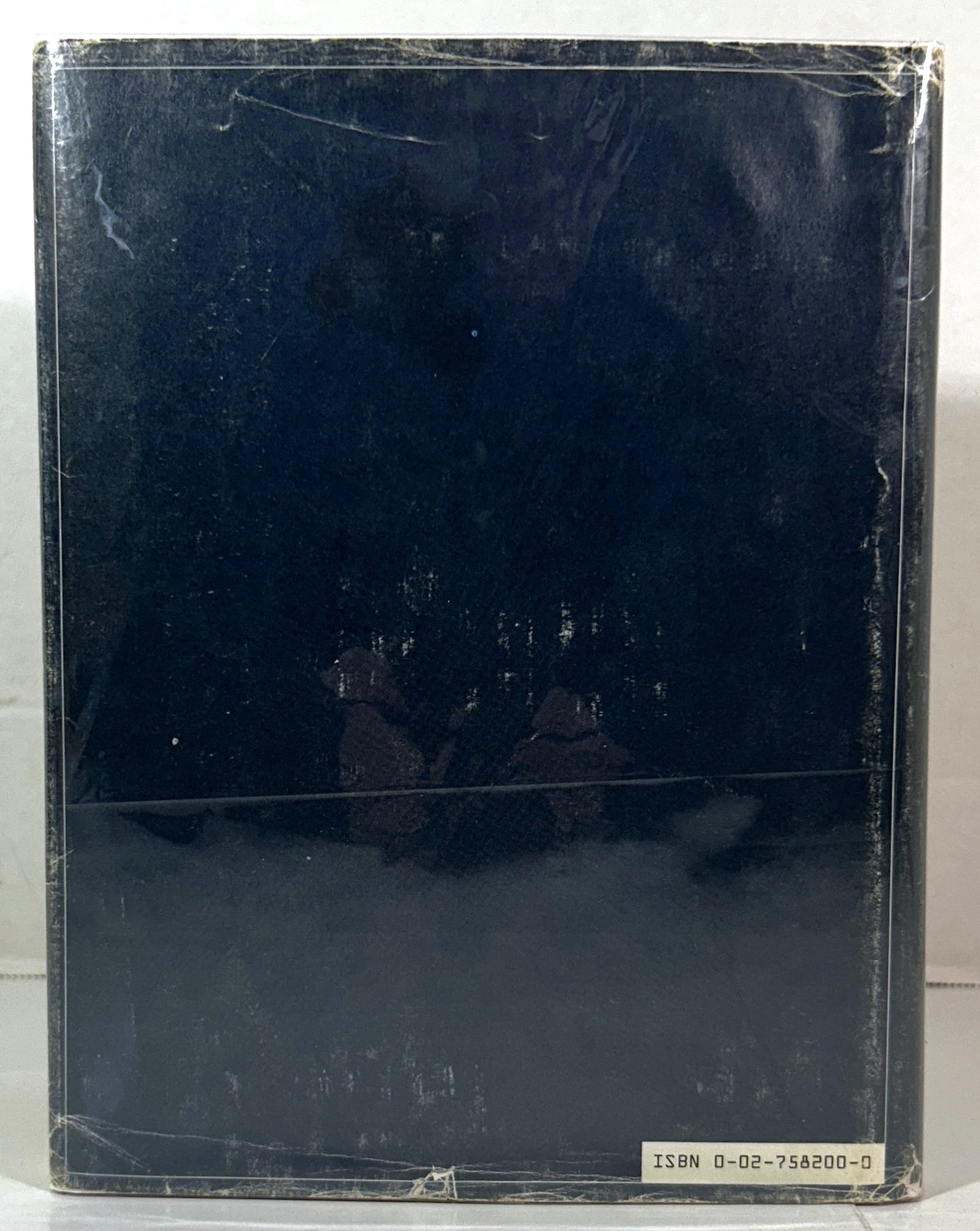The Lion The Witch & The Wardrobe by CS Lewis 1983 Illustrated by Michael Hague