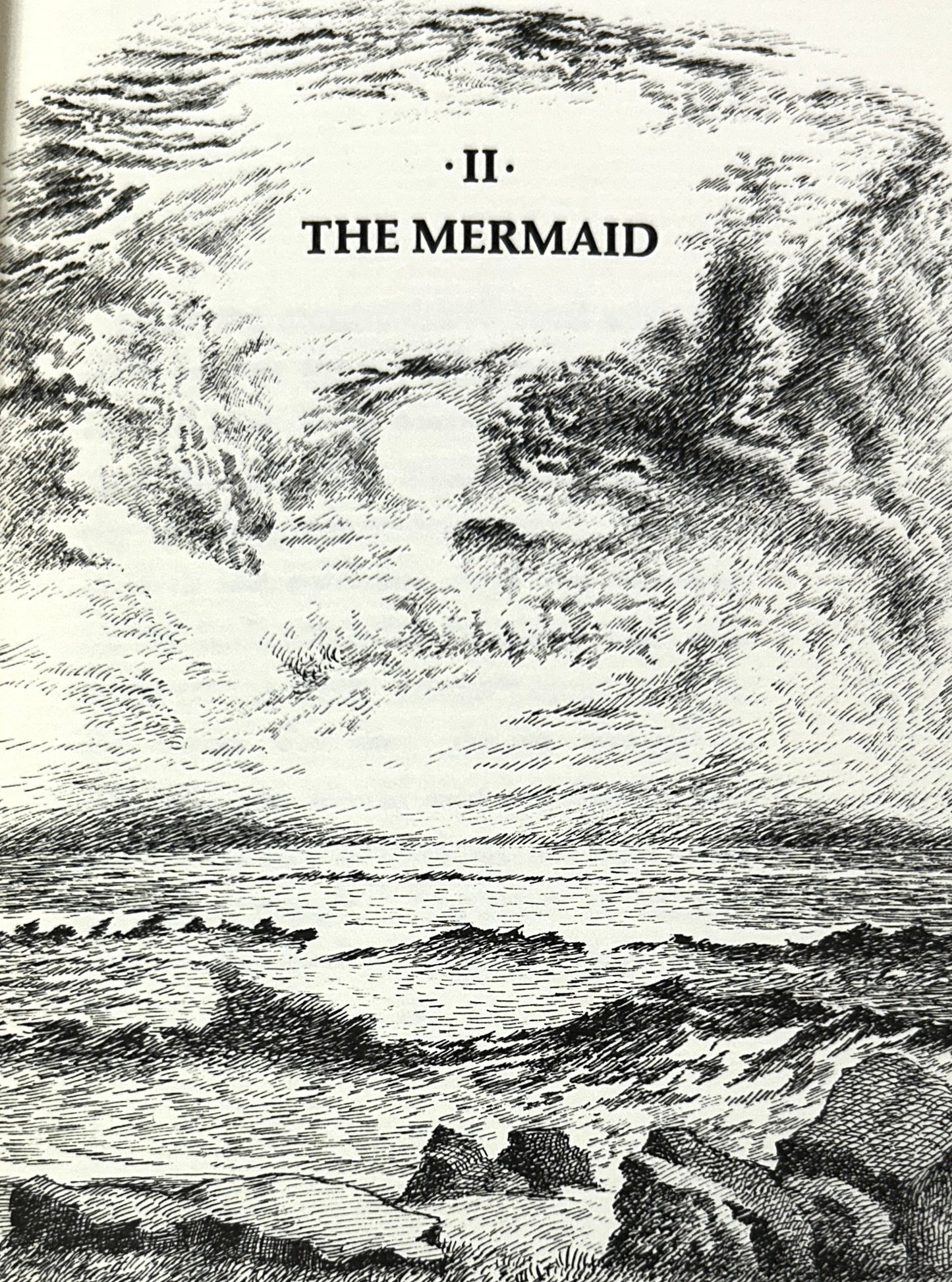 The Animal Family by Randall Jarrell Illustrated by Maurice Sendak 1985 8th Print