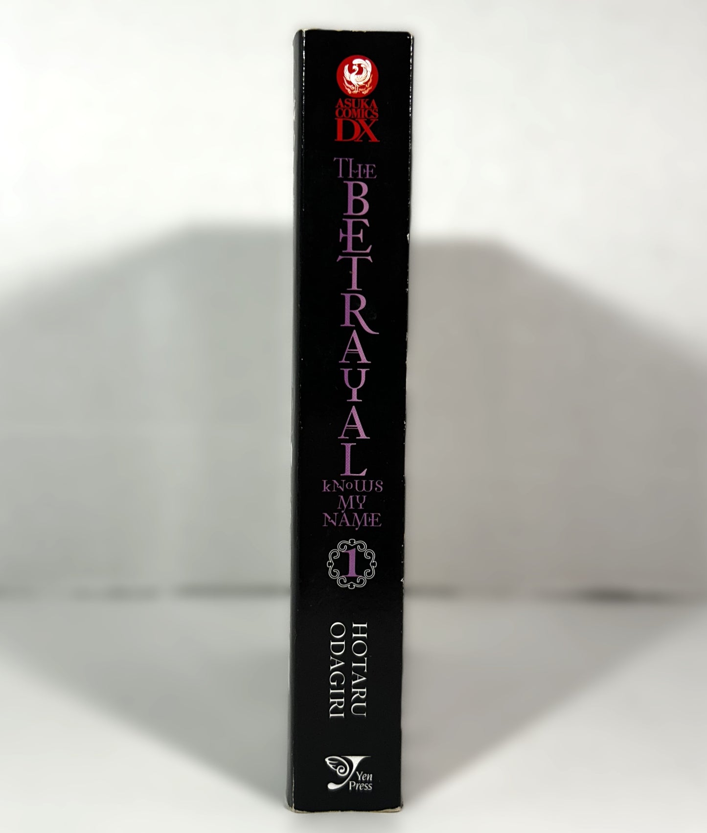 The Betrayal Knows My Name by Hotaru Odagiri 2006