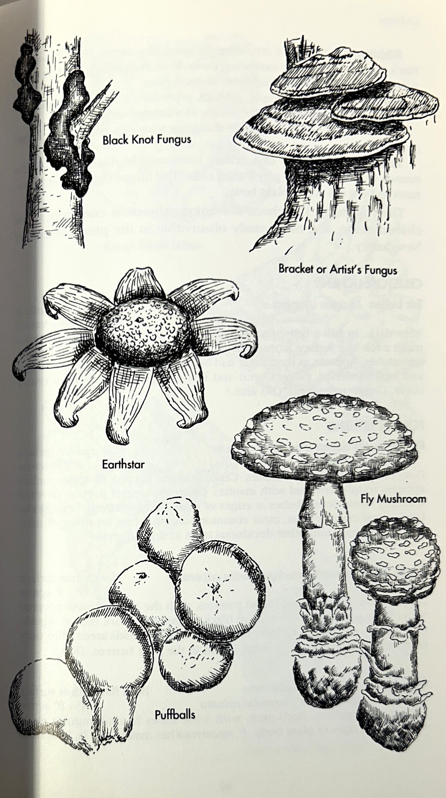 A Field Guide to Pine Barrens of New Jersey by Howard P. Boyd 1991 SIGNED