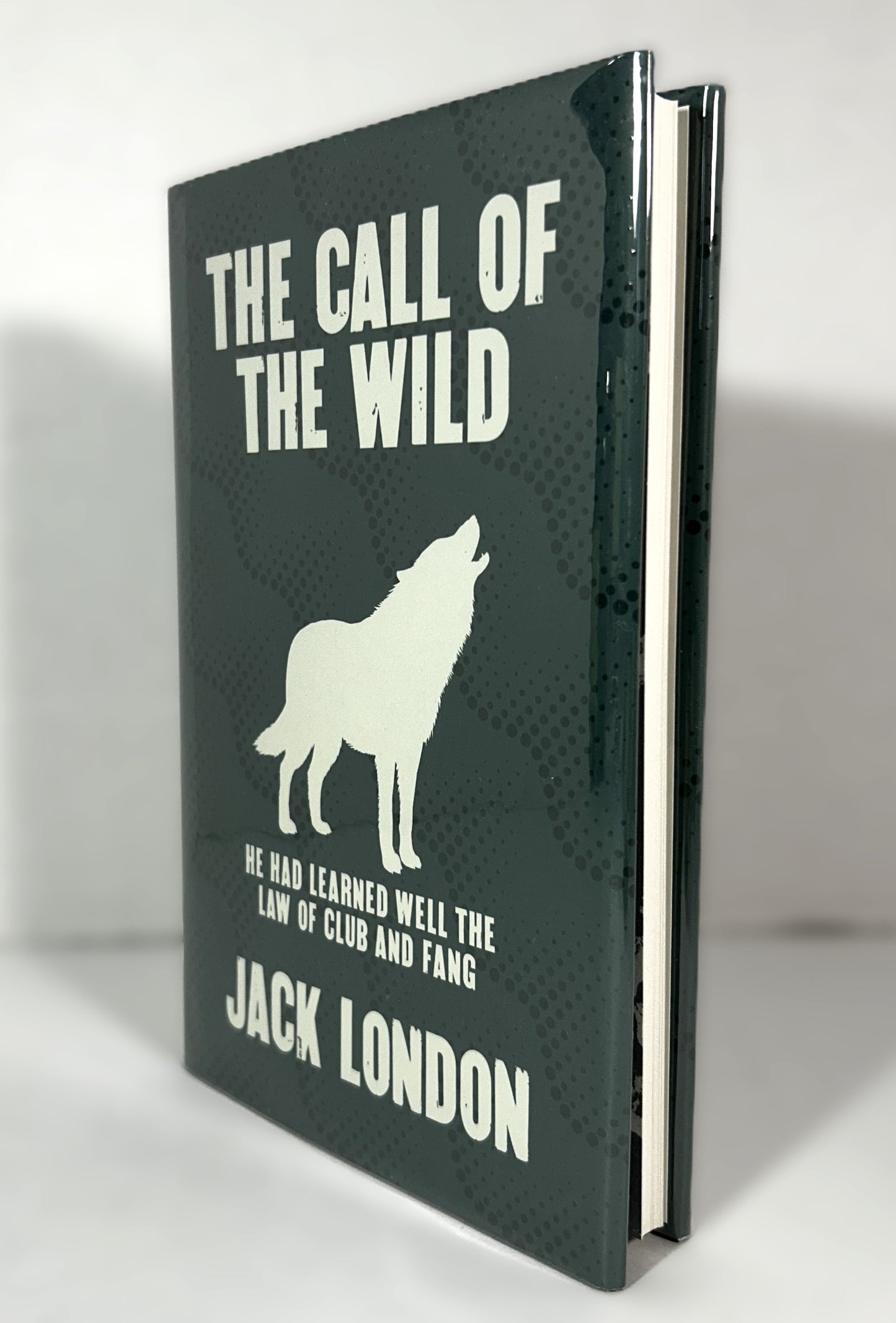 The Call of the Wild by Jack London Arcturus Publishing 2020 Hardcover