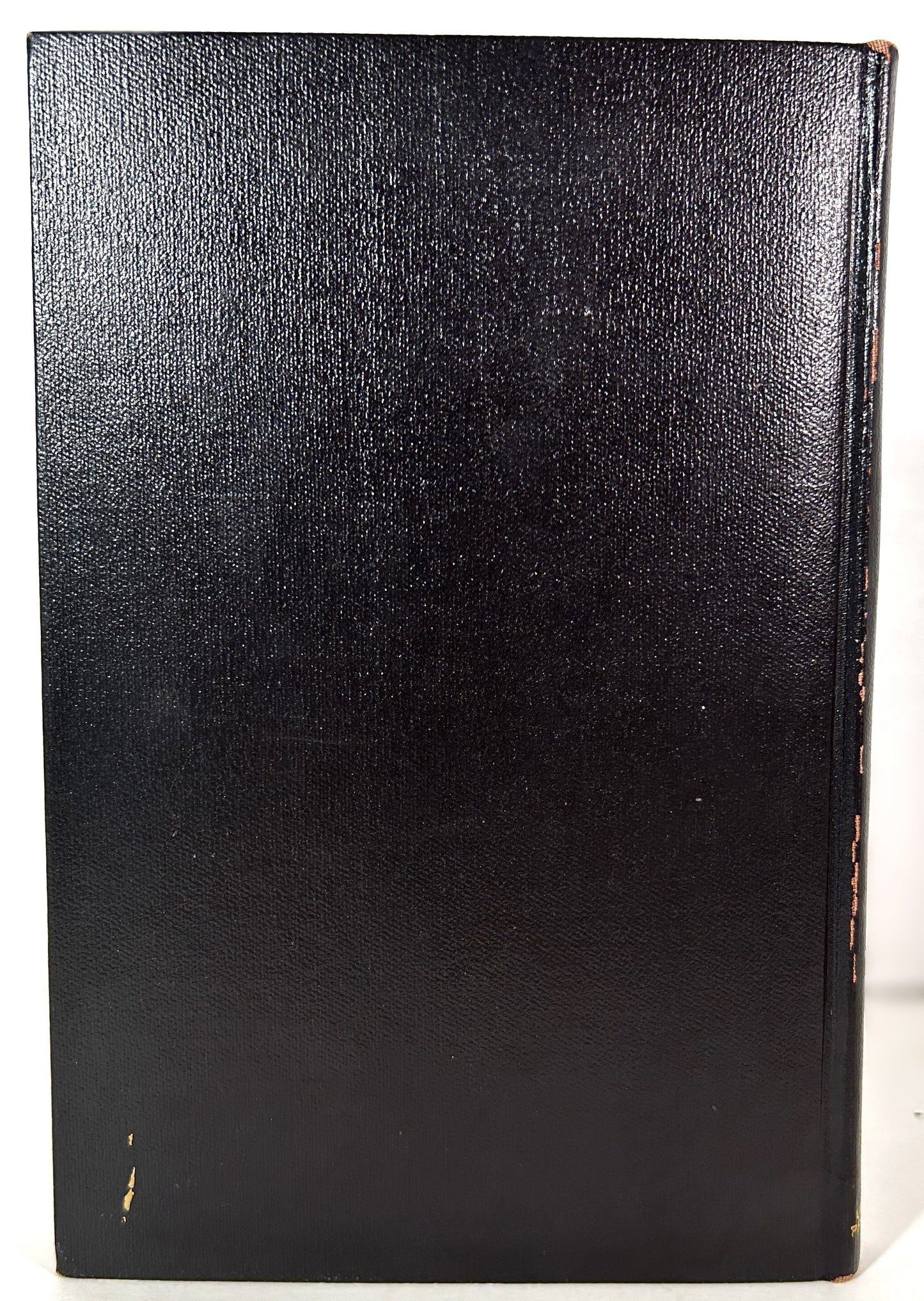 Where the Trees Grow Tall by Elsie Beatrice Stryker & Ralph Thomson 1963 SIGNED