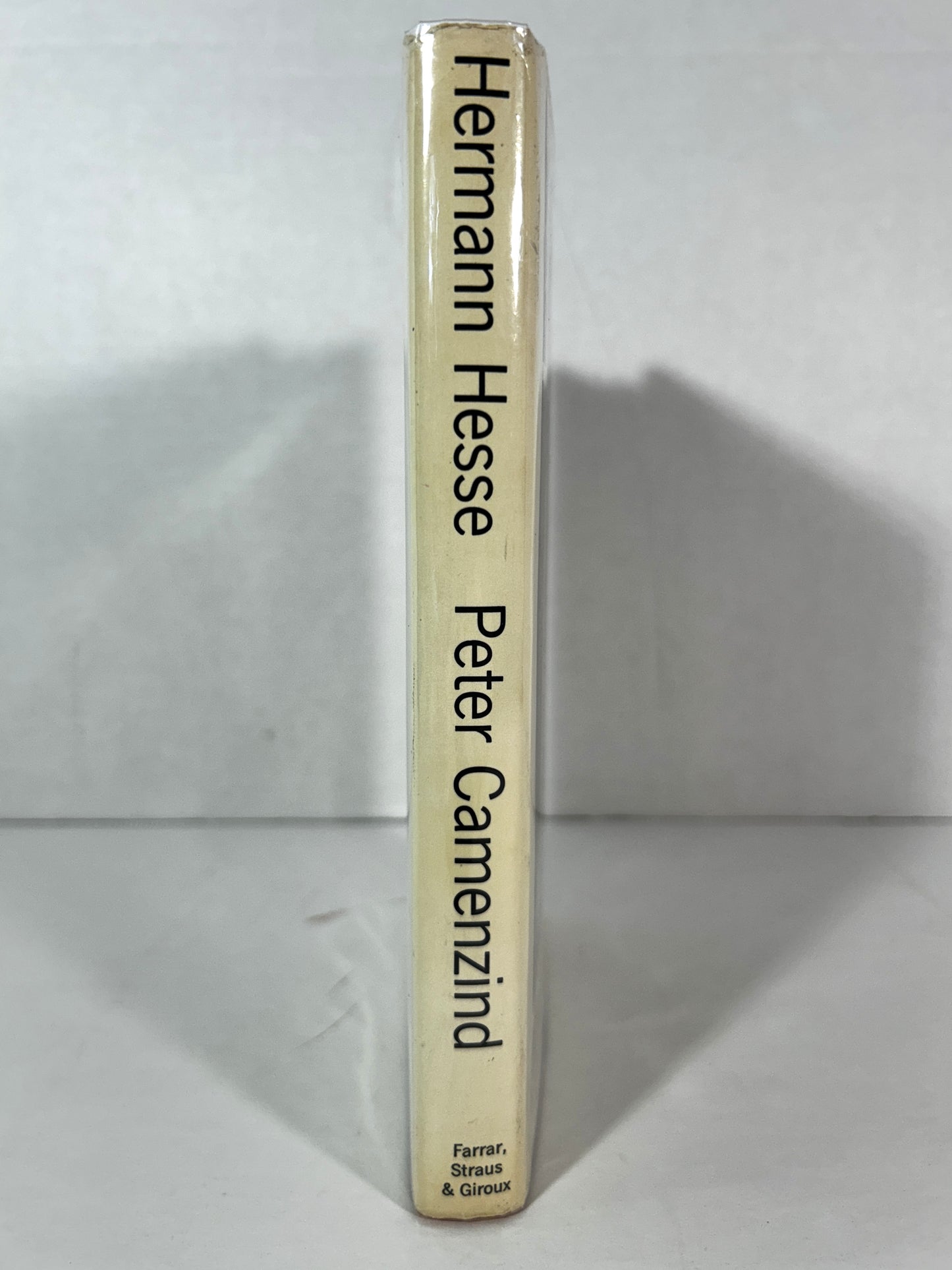 Peter Camenzind by Hermann Hesse 1969 1st Printing