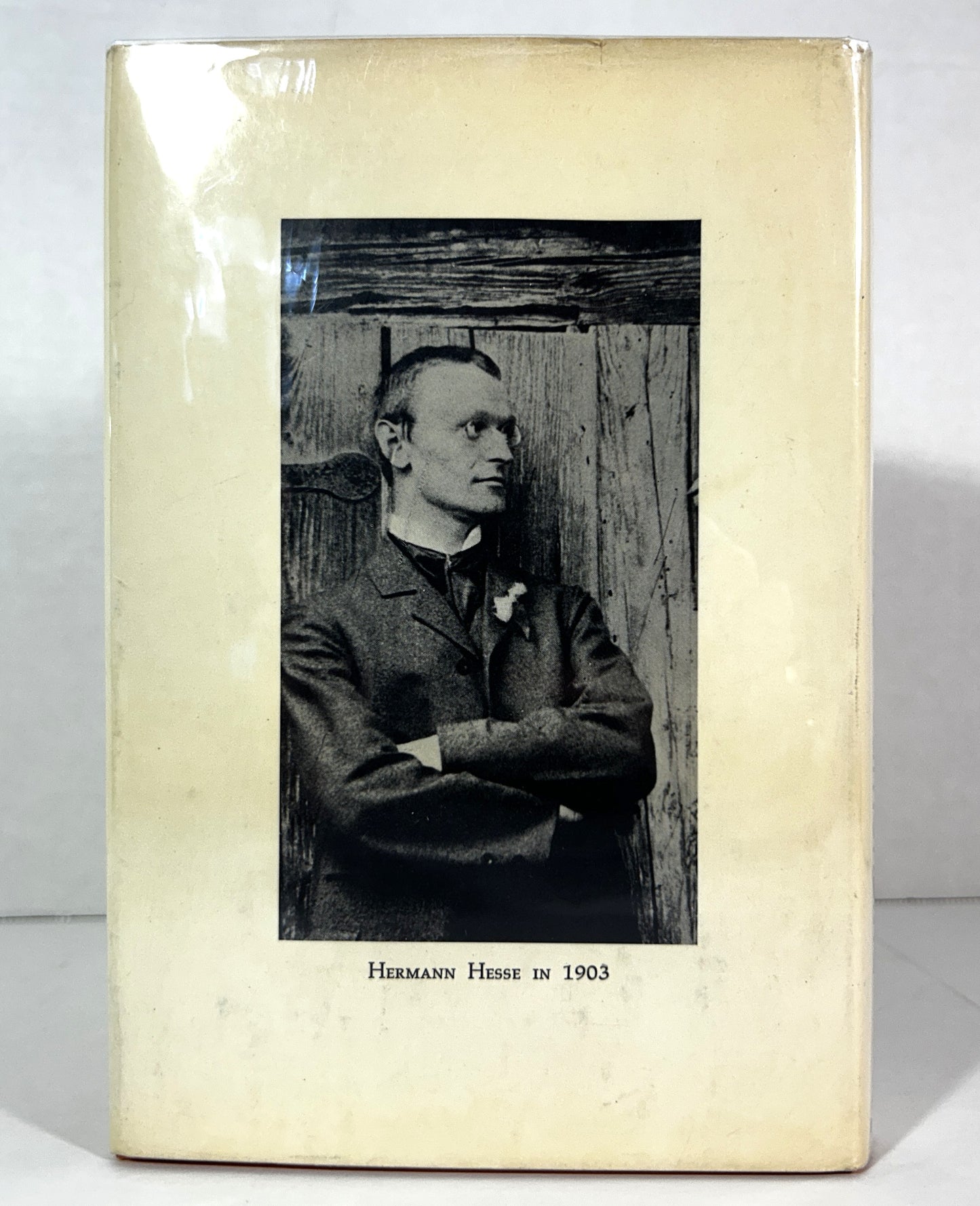 Peter Camenzind by Hermann Hesse 1969 1st Printing