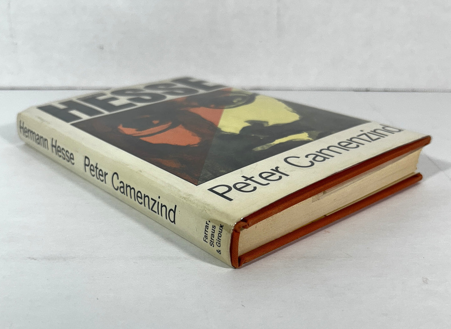 Peter Camenzind by Hermann Hesse 1969 1st Printing