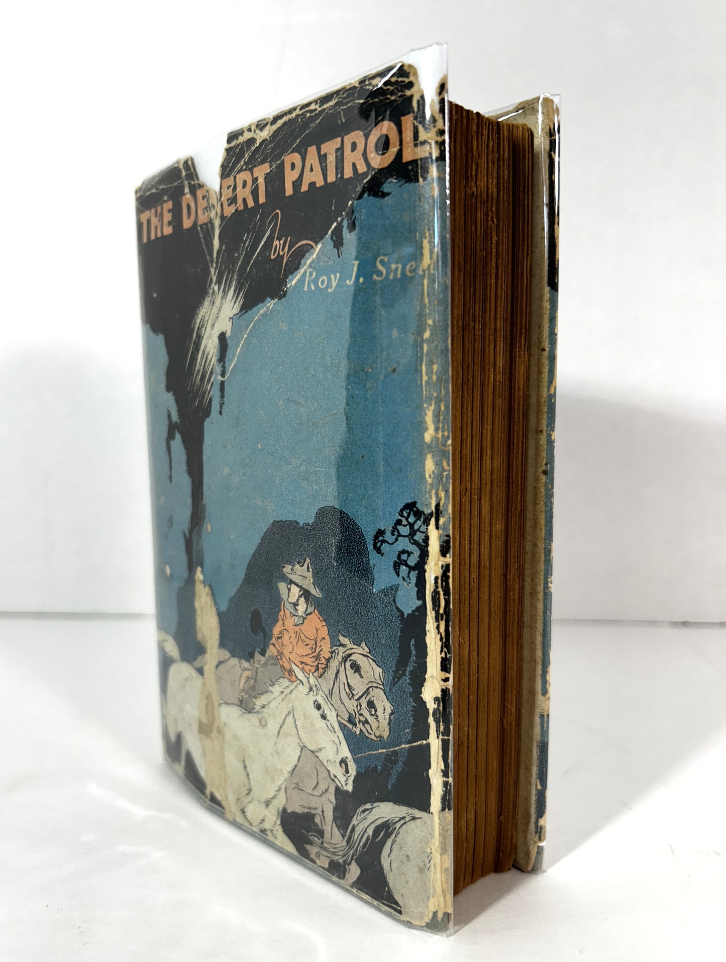 The Desert Patrol by Roy J. Snell 1923