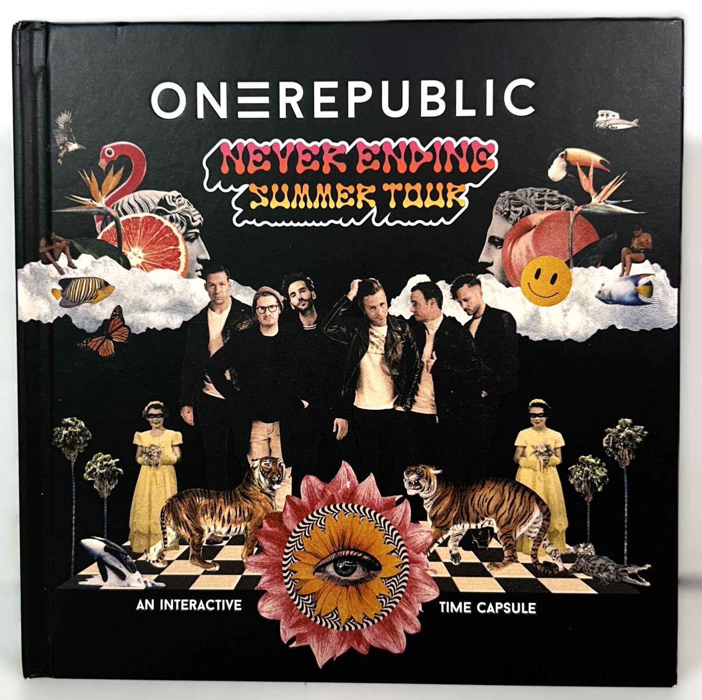 OneRepublic: Never Ending Summer Tour