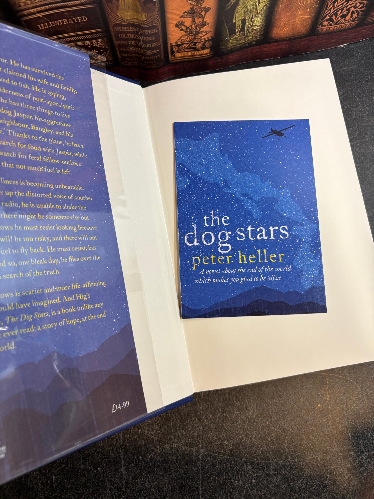 The Dog Stars by Peter Heller SIGNED Limited 1st Edition UK Goldsboro