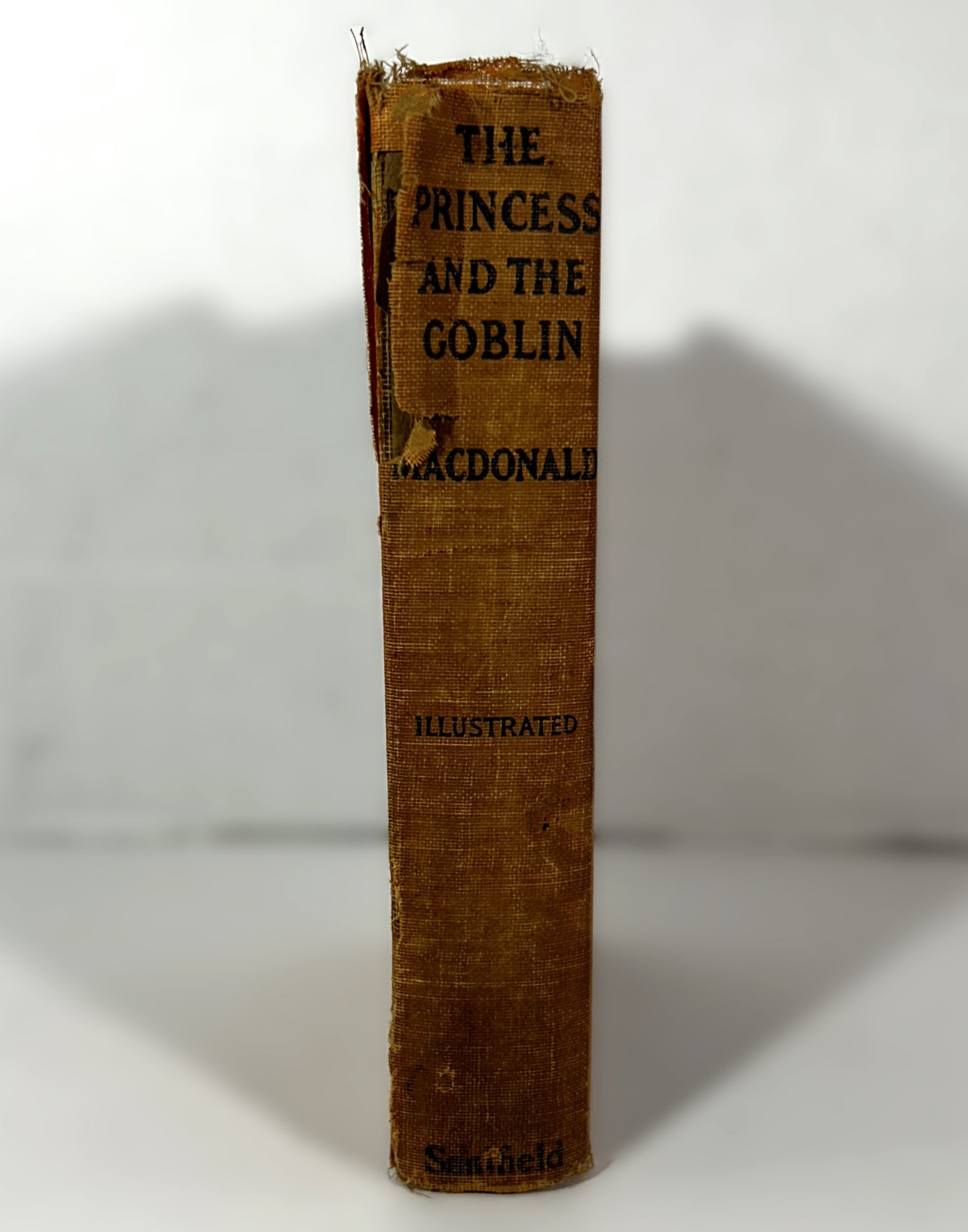 The Princess and the Goblin by George Macdonald Illustrated by Frances Brundage 1927