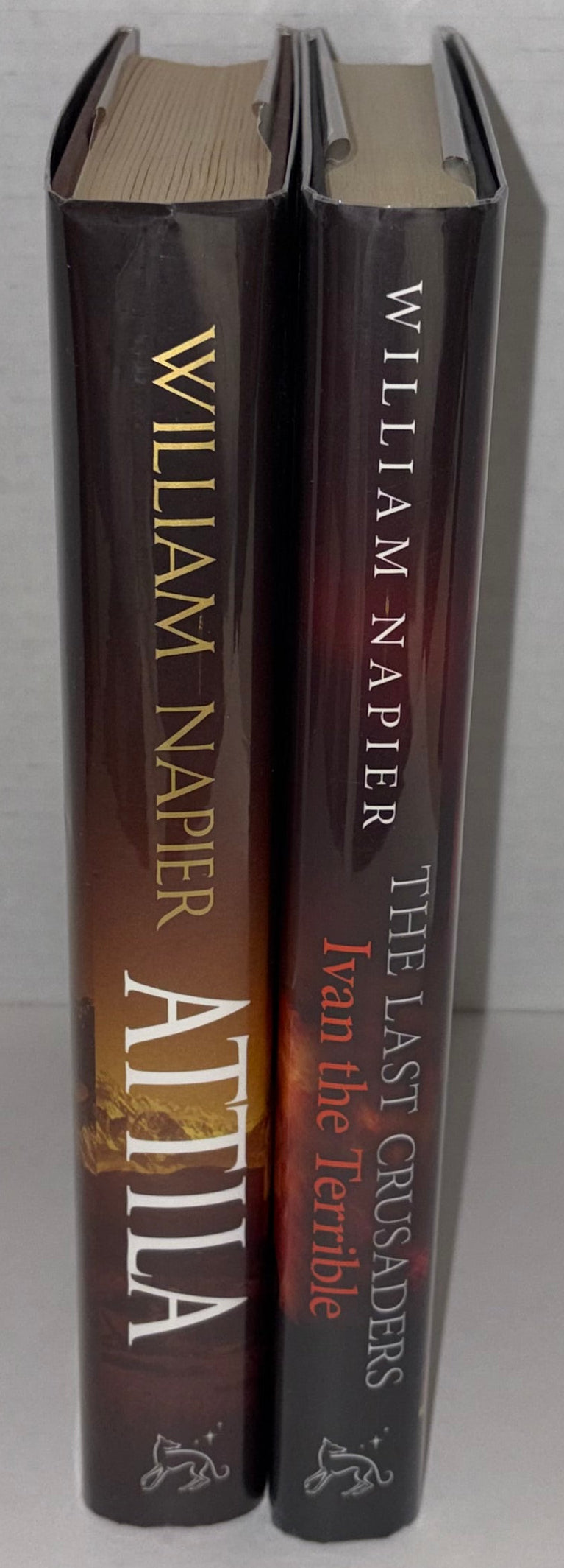 spines of DJs