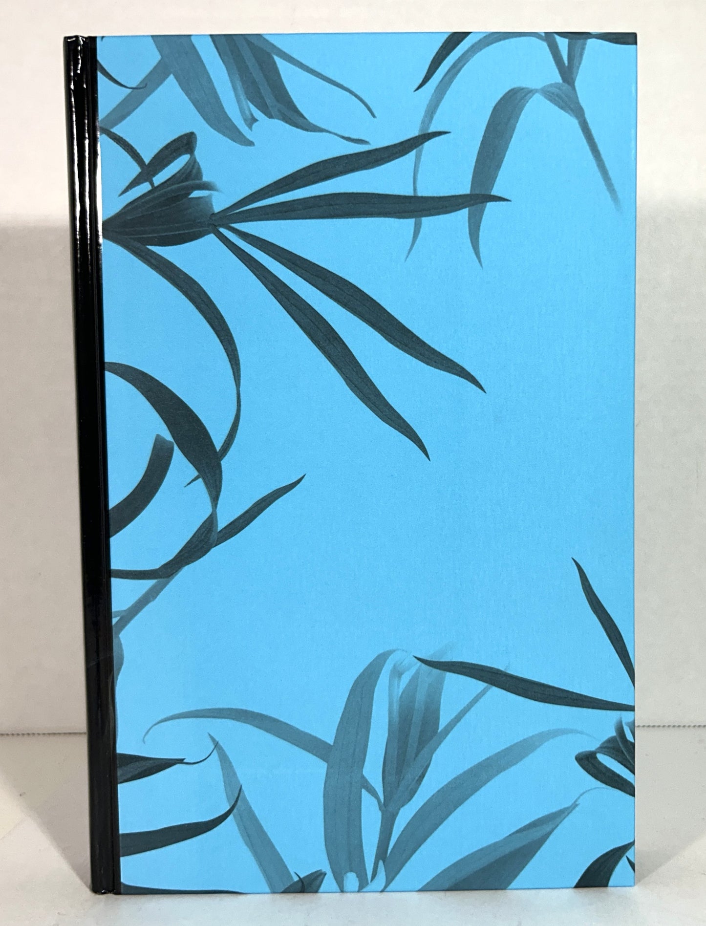 The Widow by Fiona Barton 2016 SIGNED 1st Limited Edition #517/700 SPRAYED EDGES