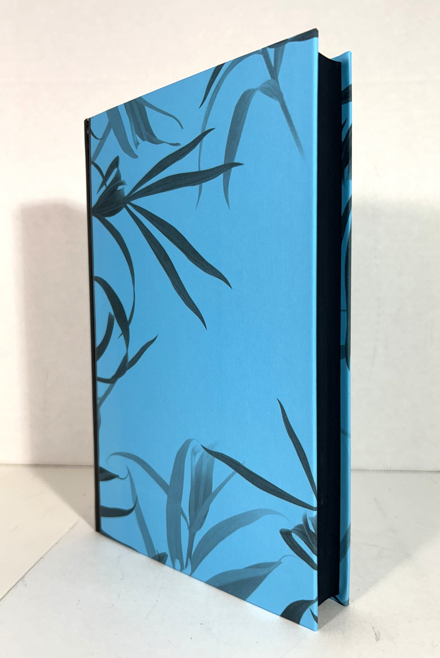 The Widow by Fiona Barton 2016 SIGNED 1st Limited Edition #517/700 SPRAYED EDGES