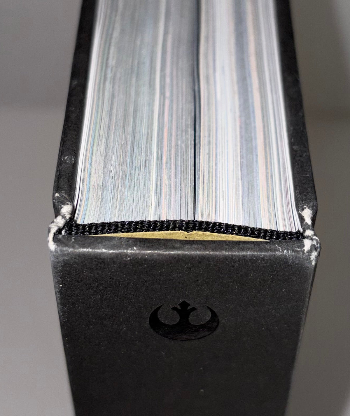 head of spine