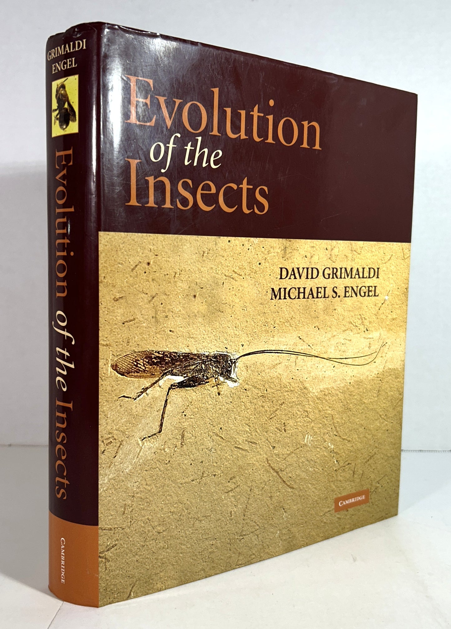 Evolution of the Insects by David Grimaldi & Michael S. Engel 2006