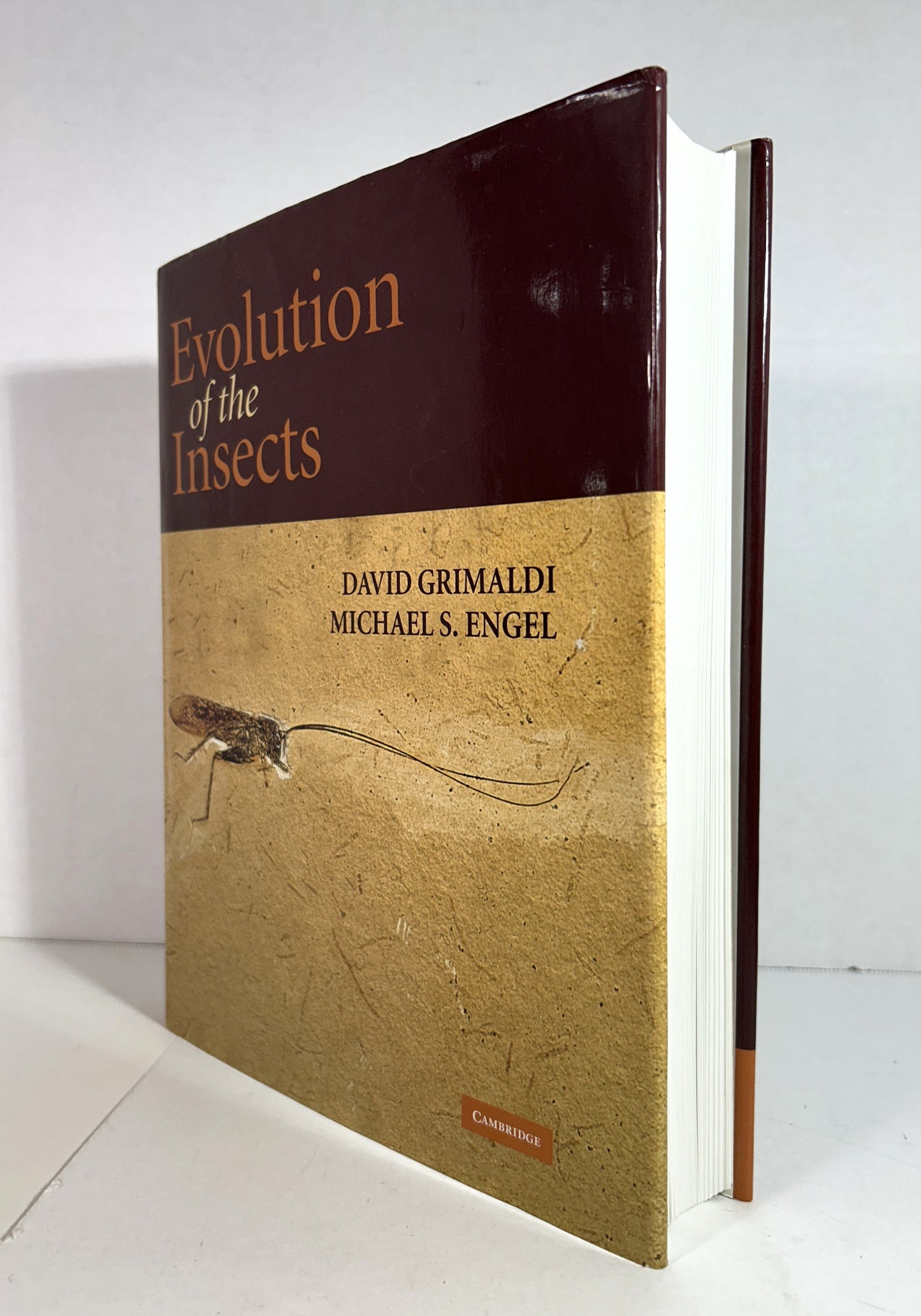 Evolution of the Insects by David Grimaldi & Michael S. Engel 2006