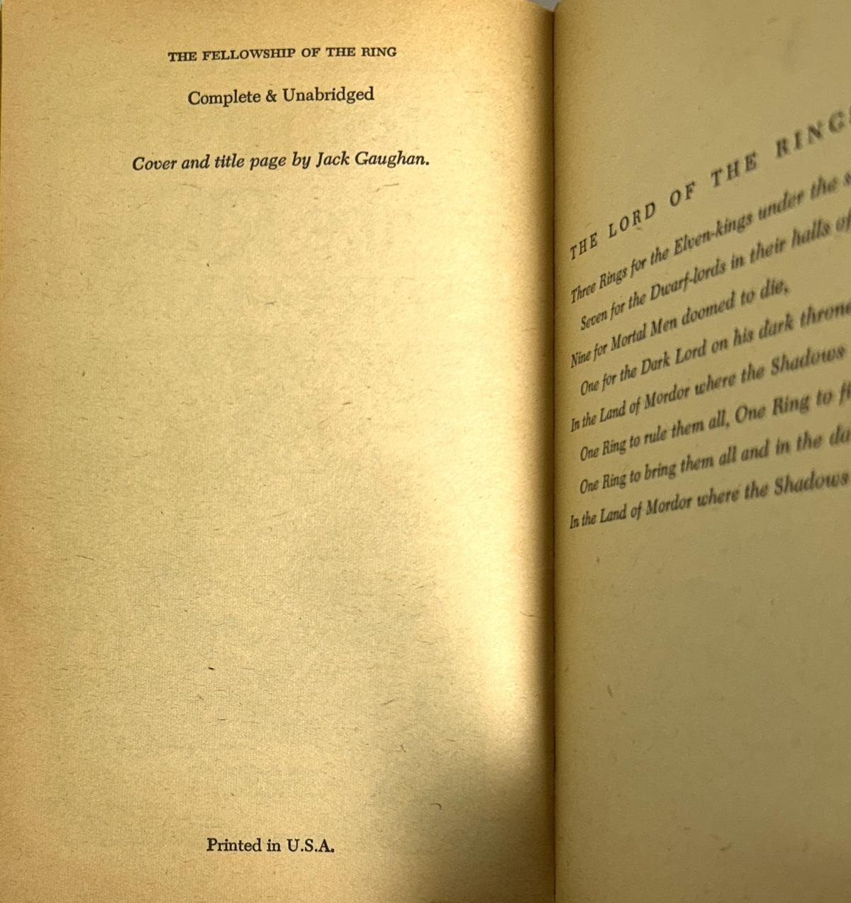 The Lord of The Rings by JRR Tolkien 1965 ACE UNAUTHORIZED EDITIONS