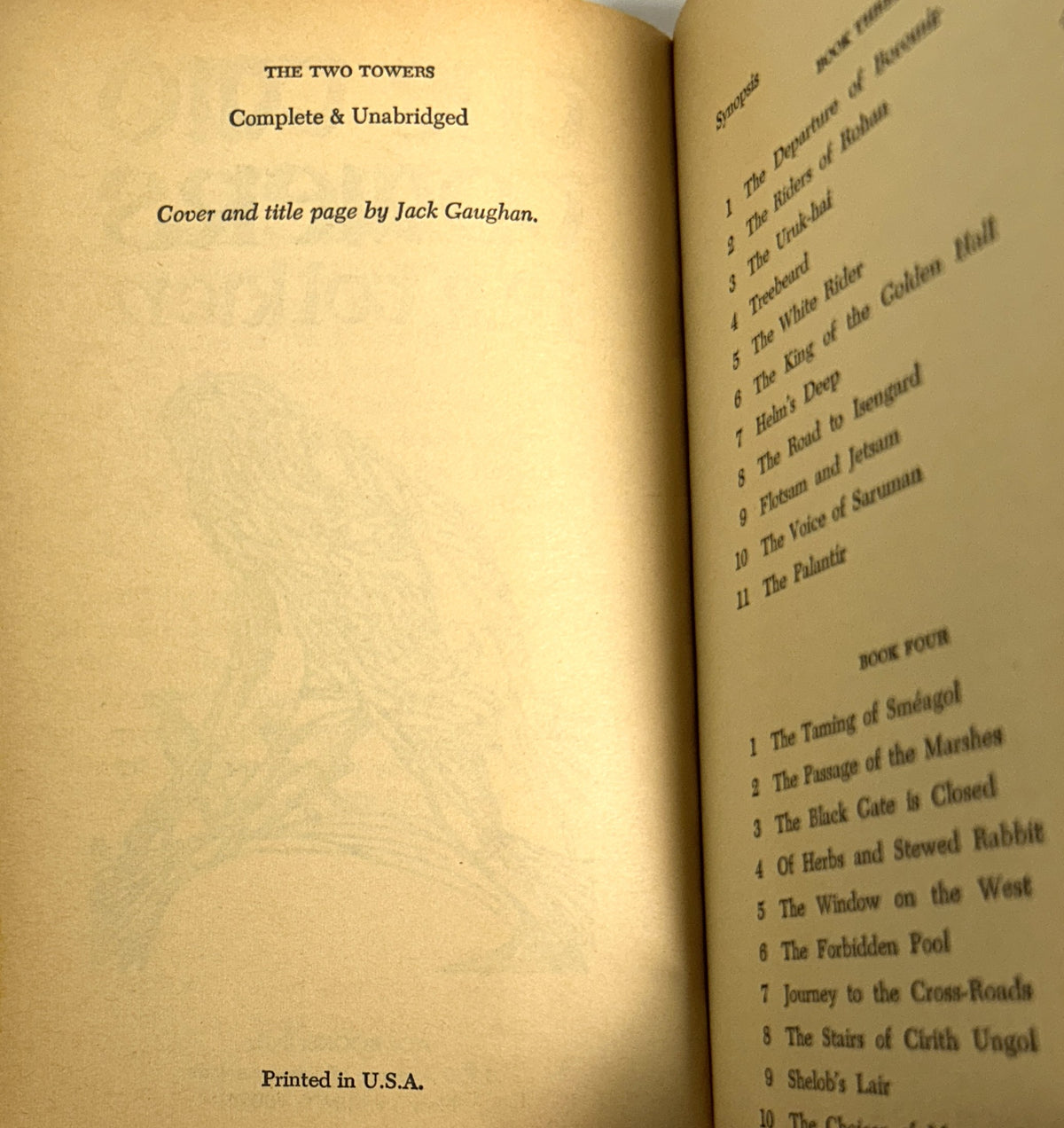 The Lord of The Rings by JRR Tolkien 1965 ACE UNAUTHORIZED EDITIONS