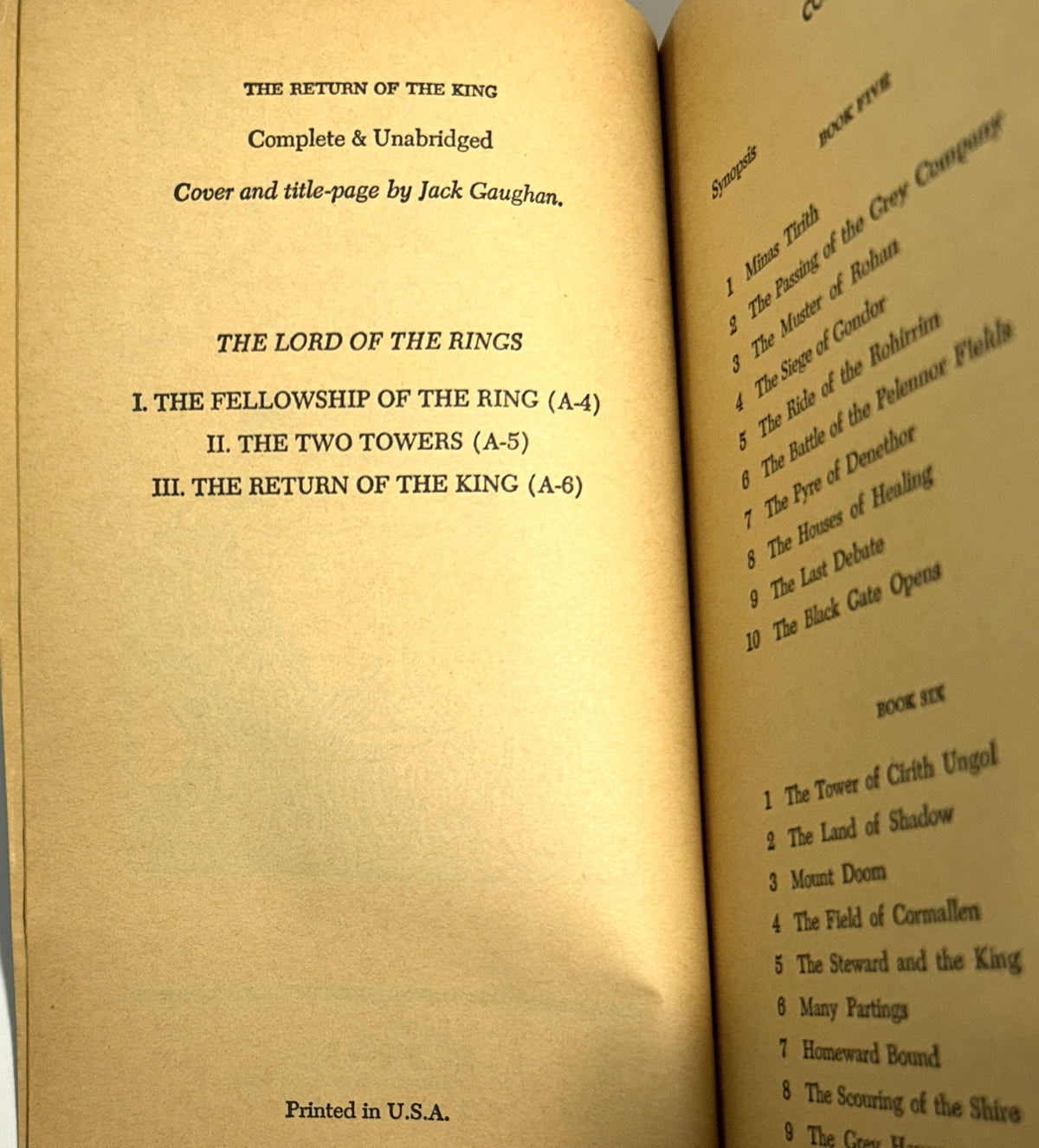 The Lord of The Rings by JRR Tolkien 1965 ACE UNAUTHORIZED EDITIONS