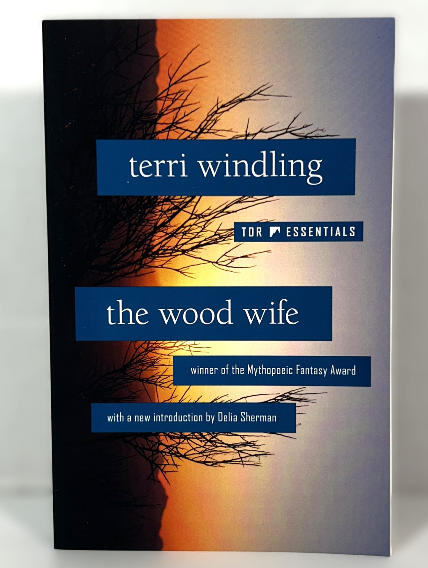 The Wood Wife by Terri Windling 2021