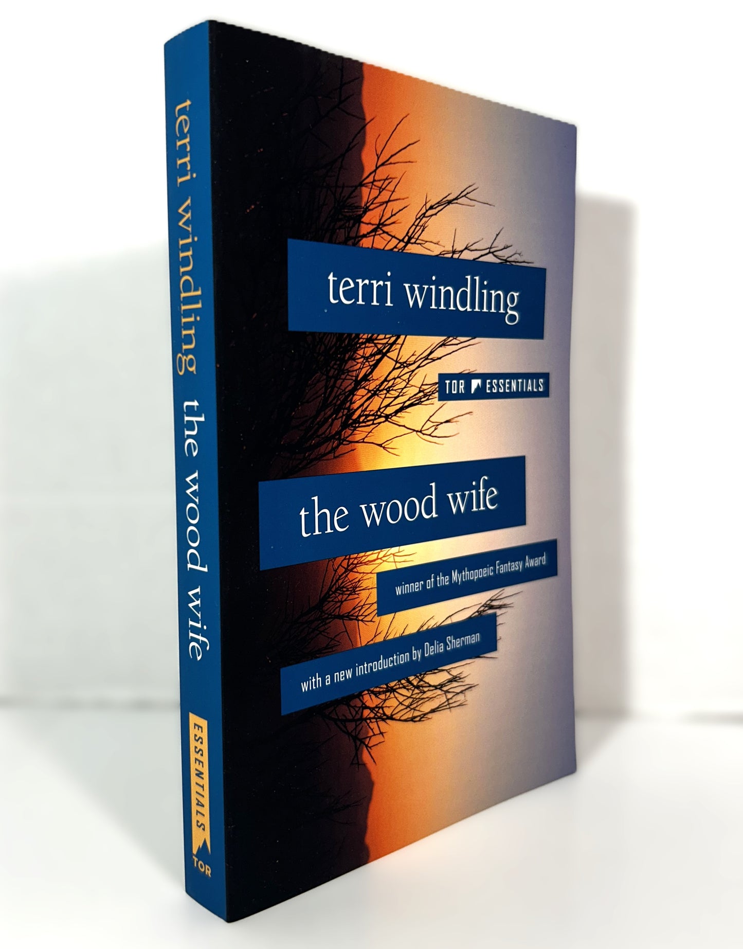 The Wood Wife by Terri Windling 2021