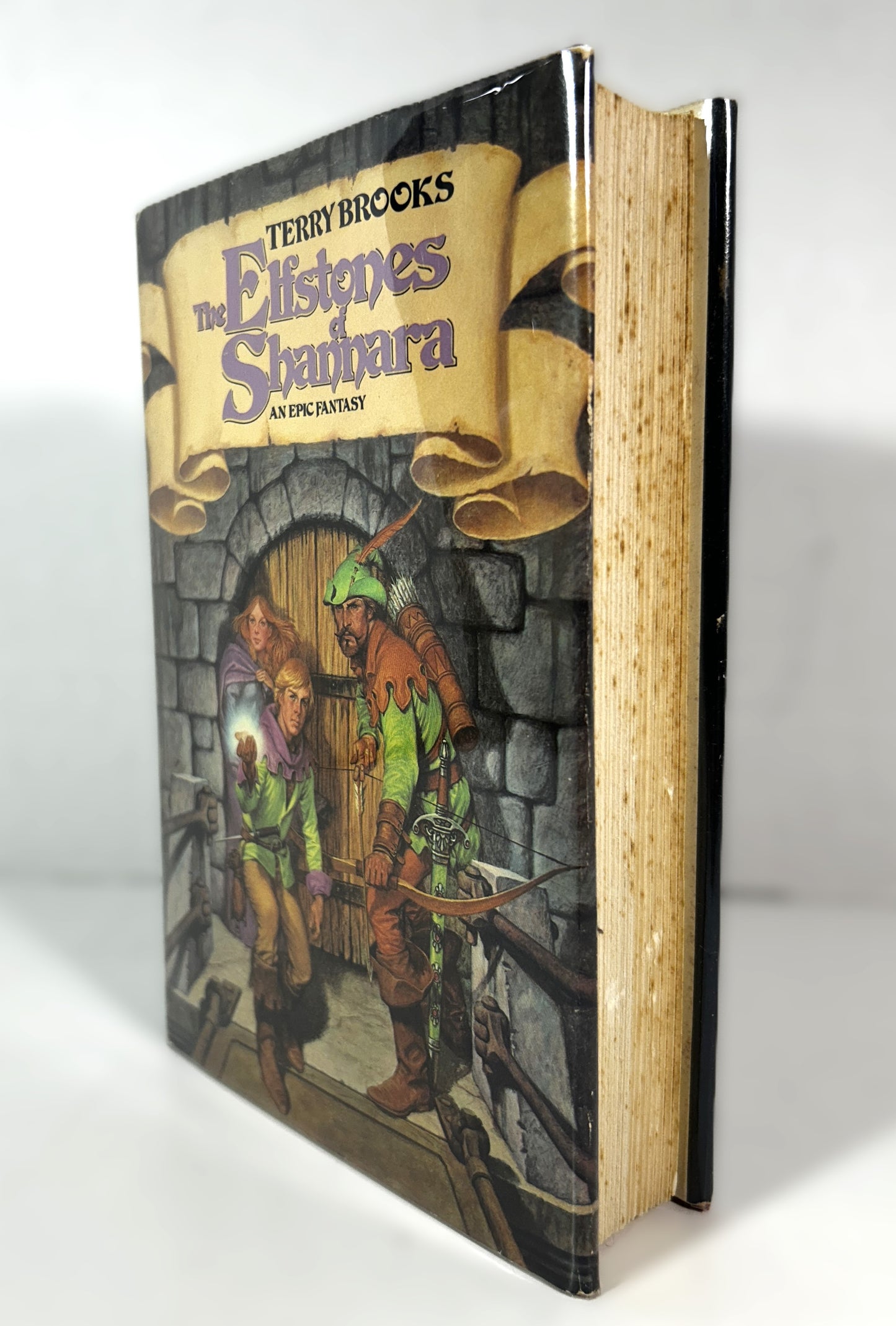 The Elfstones of Shannara by Terry Brooks 1982 Book Club Edition Hildebrandt Illustration