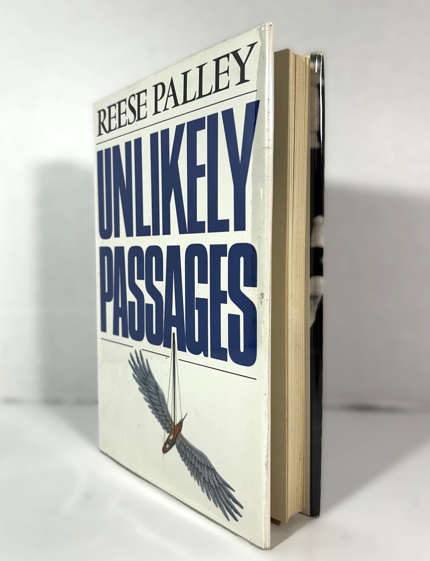 Unlikely Passages by Reese Palley 1984