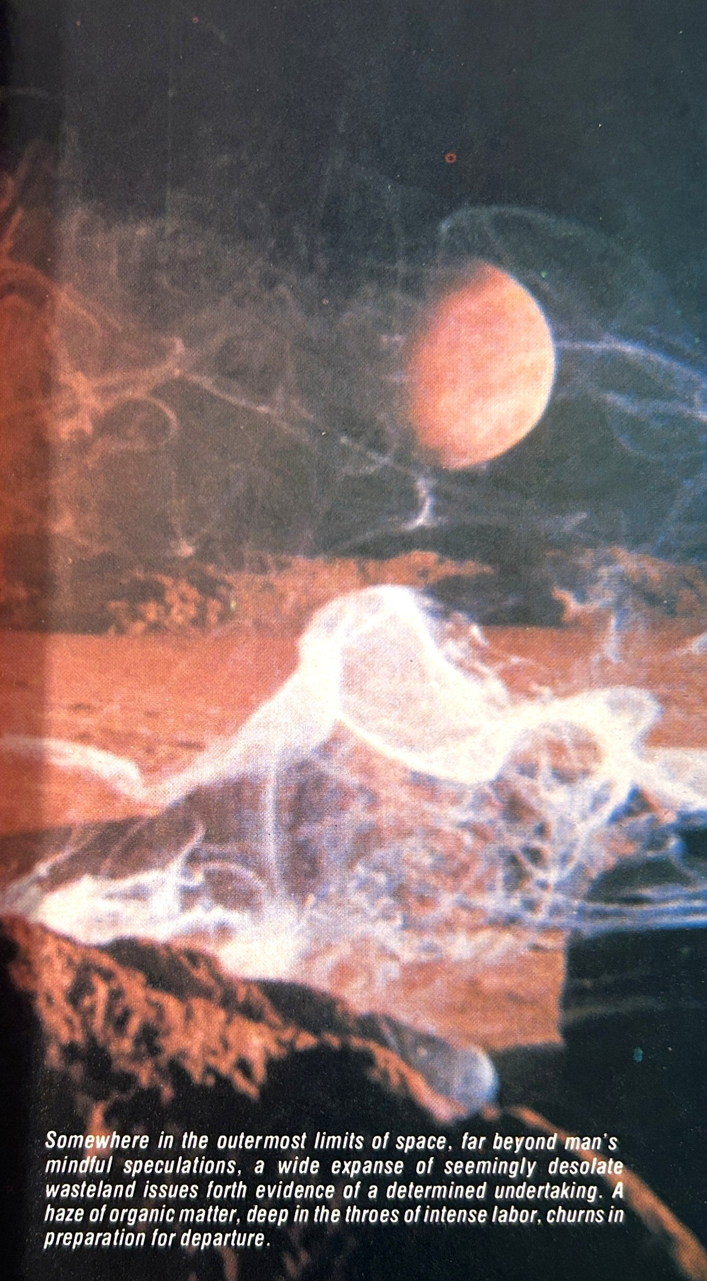 FotoNovel: Invasion of the Body Snatchers 1979 1st Printing