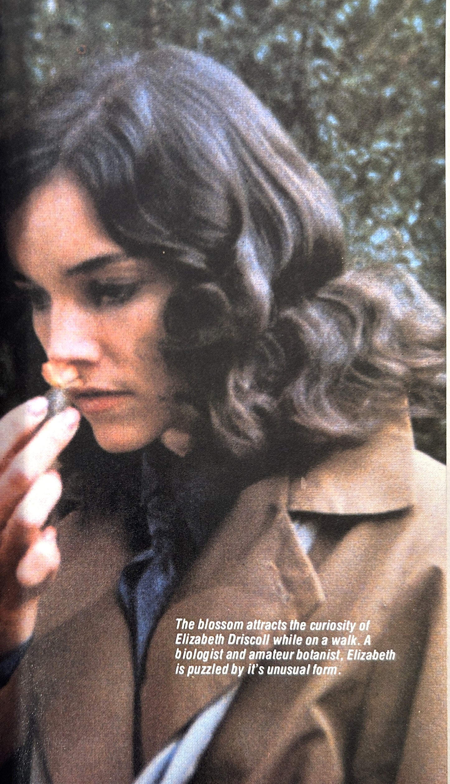 FotoNovel: Invasion of the Body Snatchers 1979 1st Printing