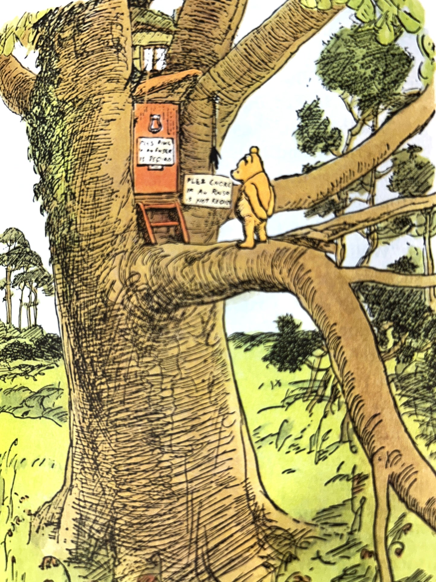 Winnie-the-Pooh by AA Milne 1974 Color Illustrations by Ernest Shepard