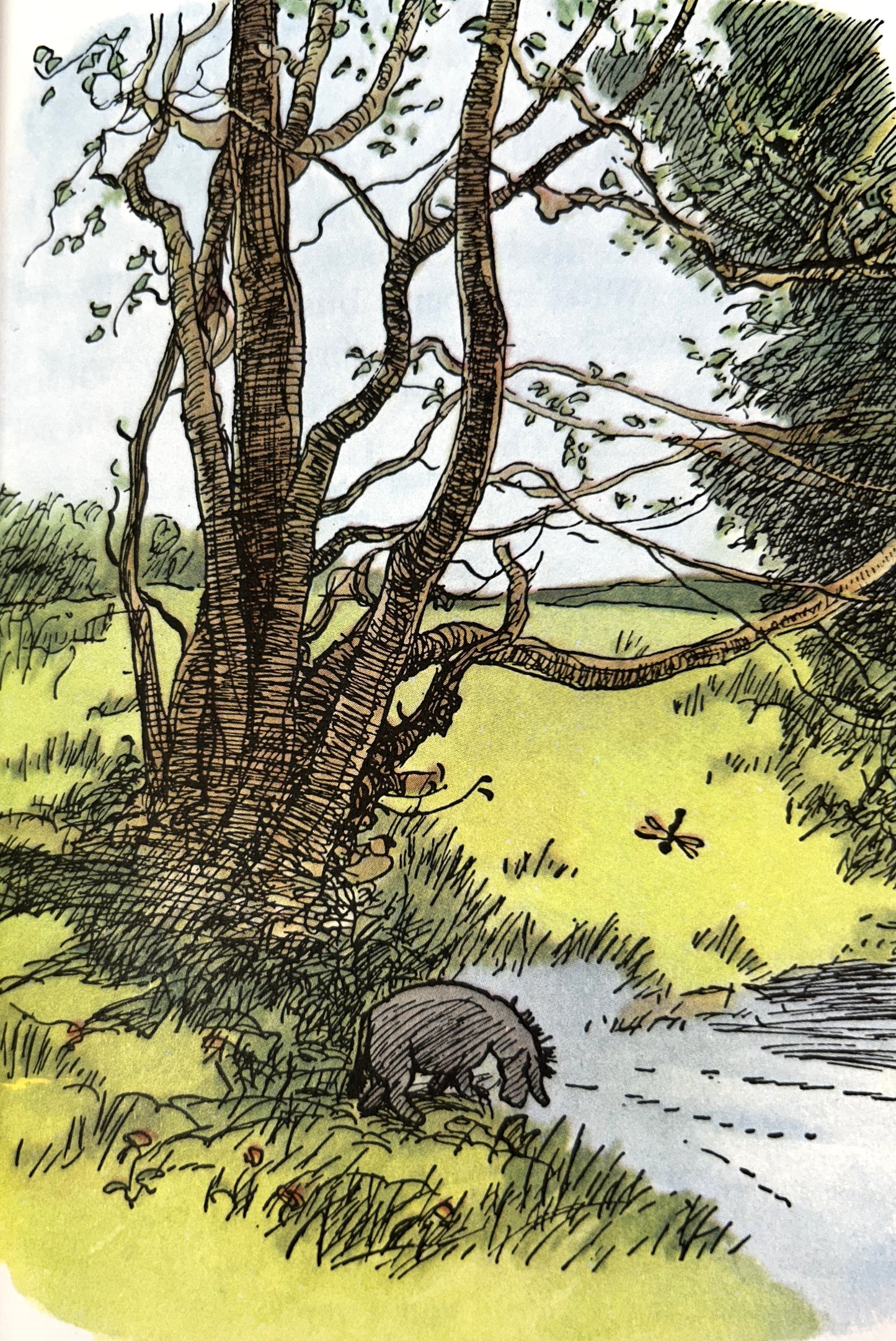 Winnie-the-Pooh by AA Milne 1974 Color Illustrations by Ernest Shepard