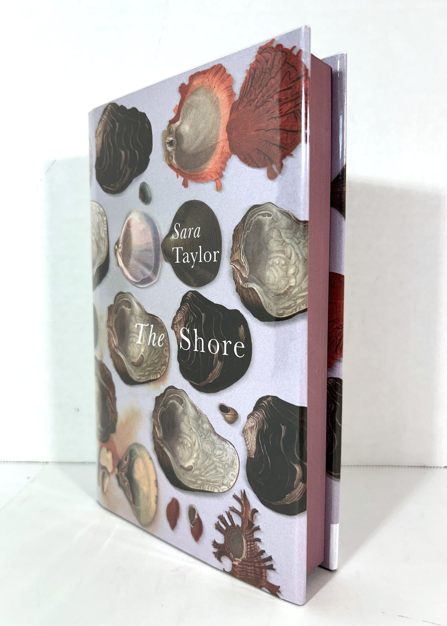 The Shore by Sara Taylor 2015 SIGNED Limited Edition #412/500 SPRAYED EDGES