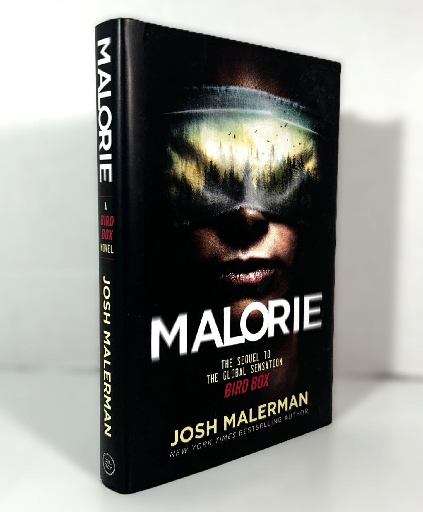 Malorie by Josh Malerman 2020 Hardcover 1st Edition