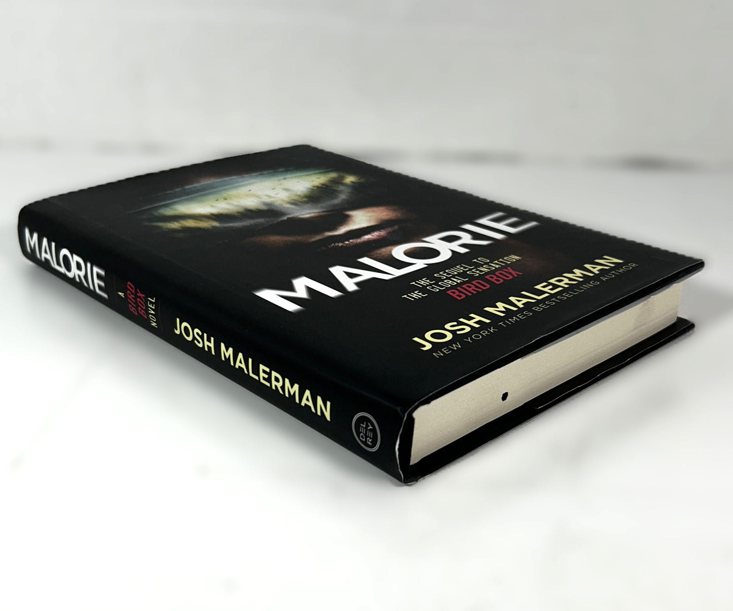 Malorie by Josh Malerman 2020 Hardcover 1st Edition