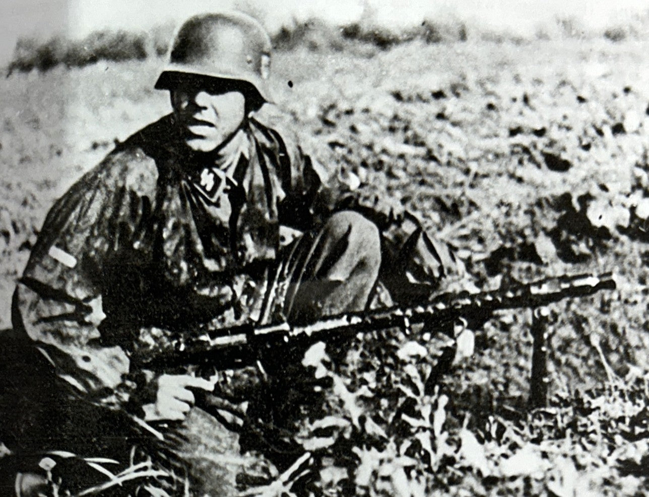Hitler's Swedes: A History of the Swedish Volunteers in the Waffen-SS by Lars T. Larsson 2014
