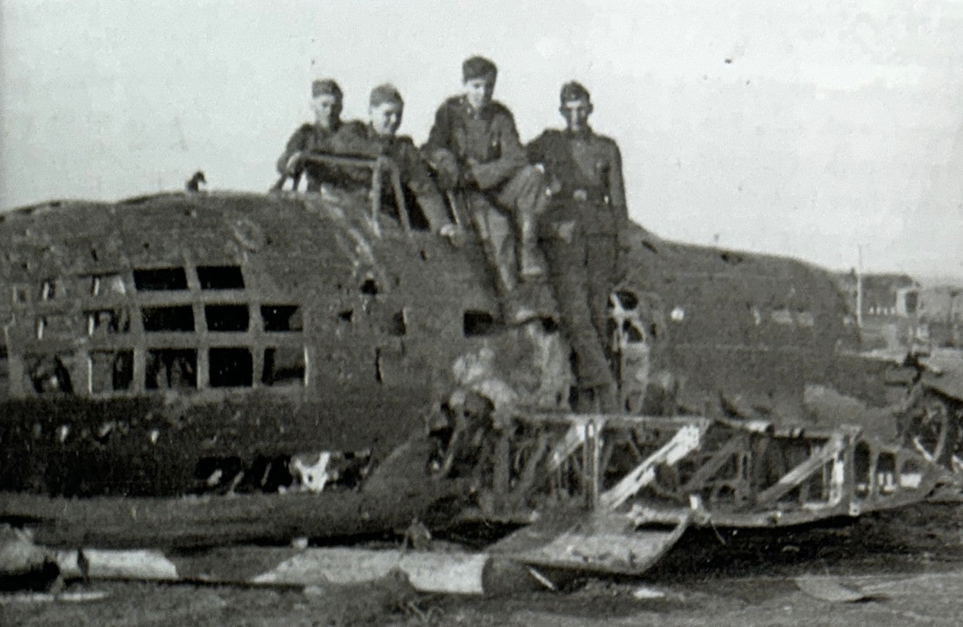 Hitler's Swedes: A History of the Swedish Volunteers in the Waffen-SS by Lars T. Larsson 2014
