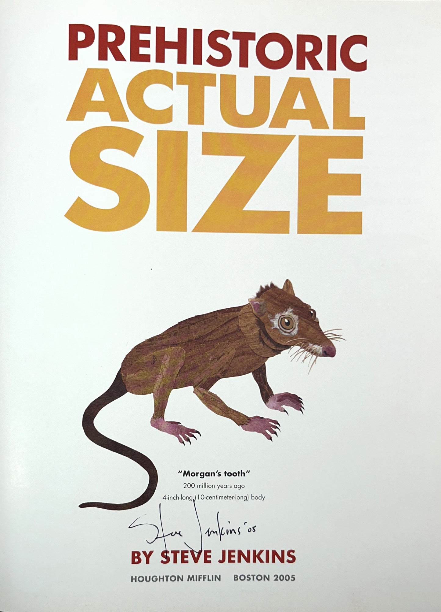 Prehistoric Actual Size by Steve Jenkins 2005 SIGNED