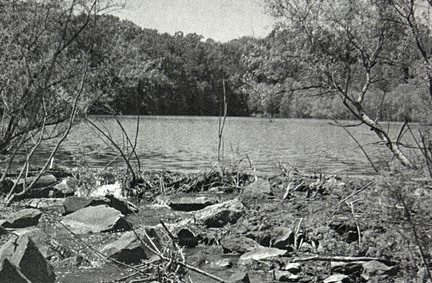 The Parrys of Philadelphia & New Hope by Roy Ziegler 2011 INSCRIBED + SIGNED